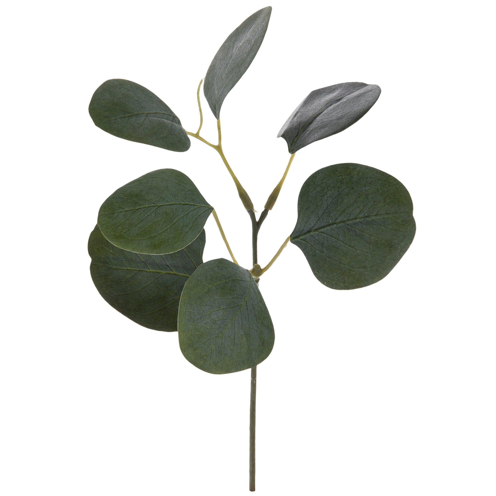 Eucalyptus Leaf Pick Hobby Lobby 1918234