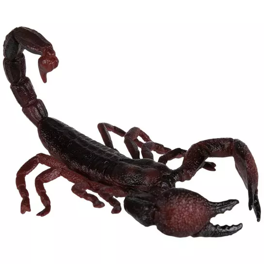 Red & Black Emperor Scorpion | Hobby Lobby | 1926047