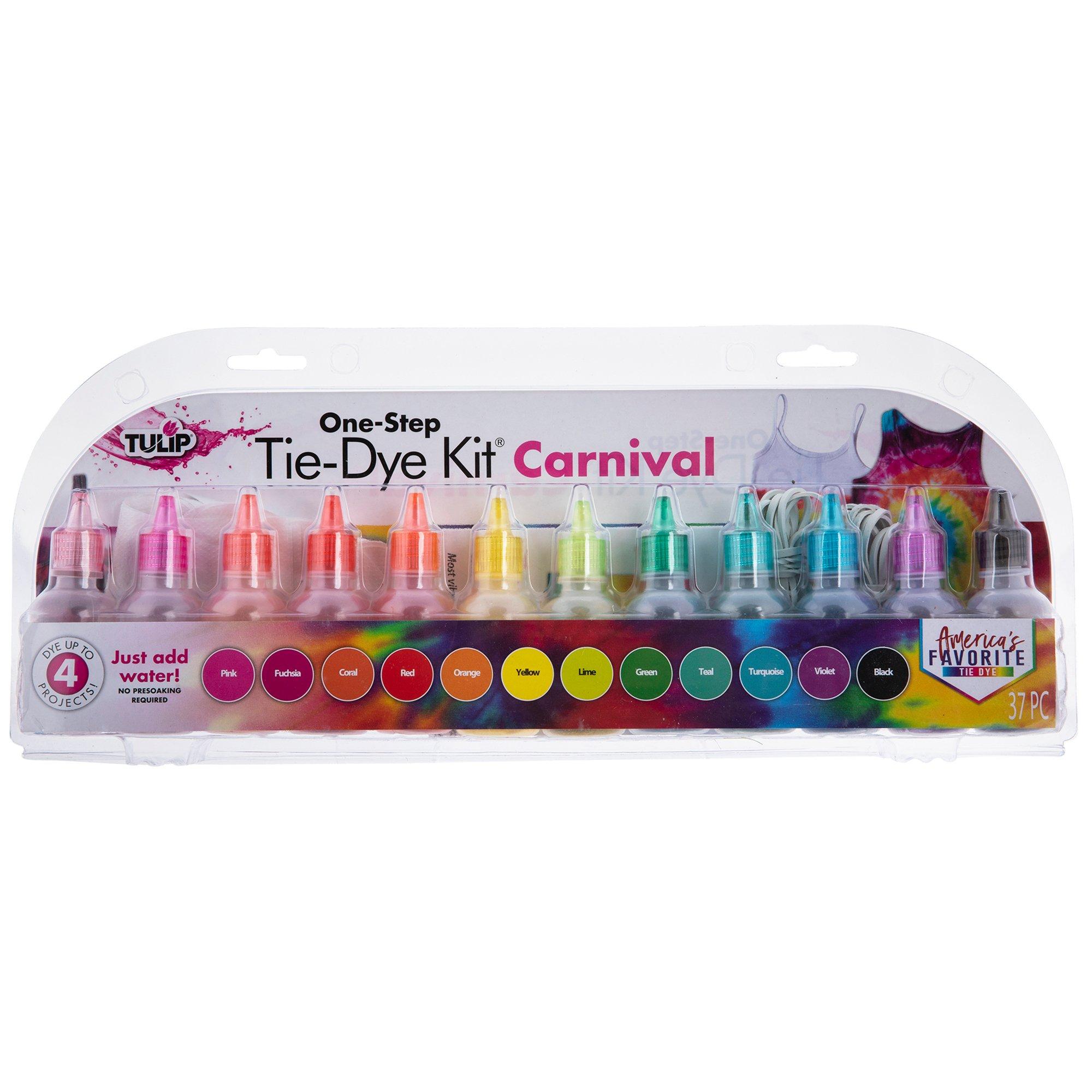 Carnival OneStep TieDye Kit Hobby Lobby 1926955