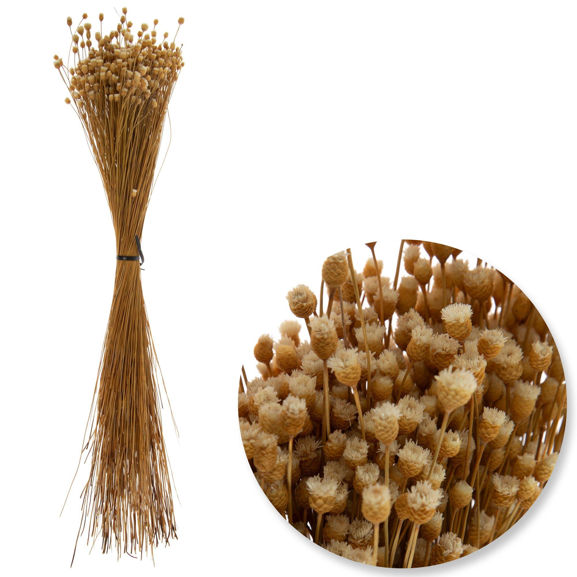 Selected Product Image