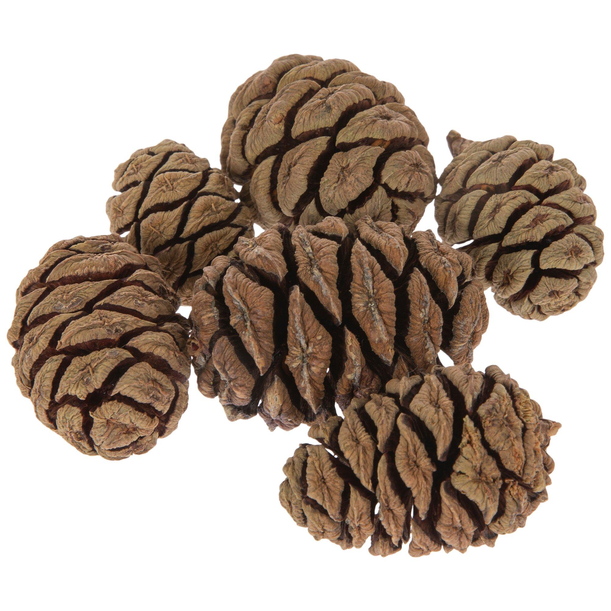 Mini Pinecone Filler Hobby Lobby 1927425