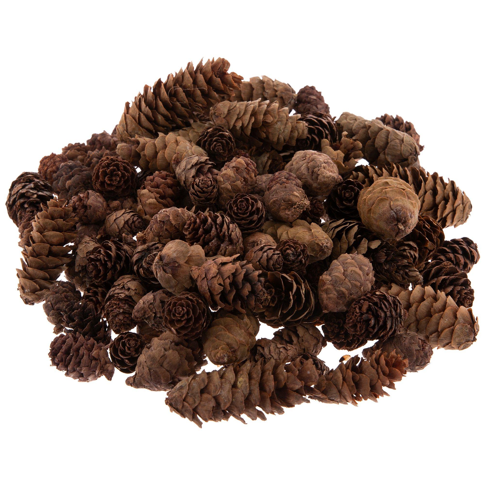 Mini Pinecone Filler Hobby Lobby 1927425