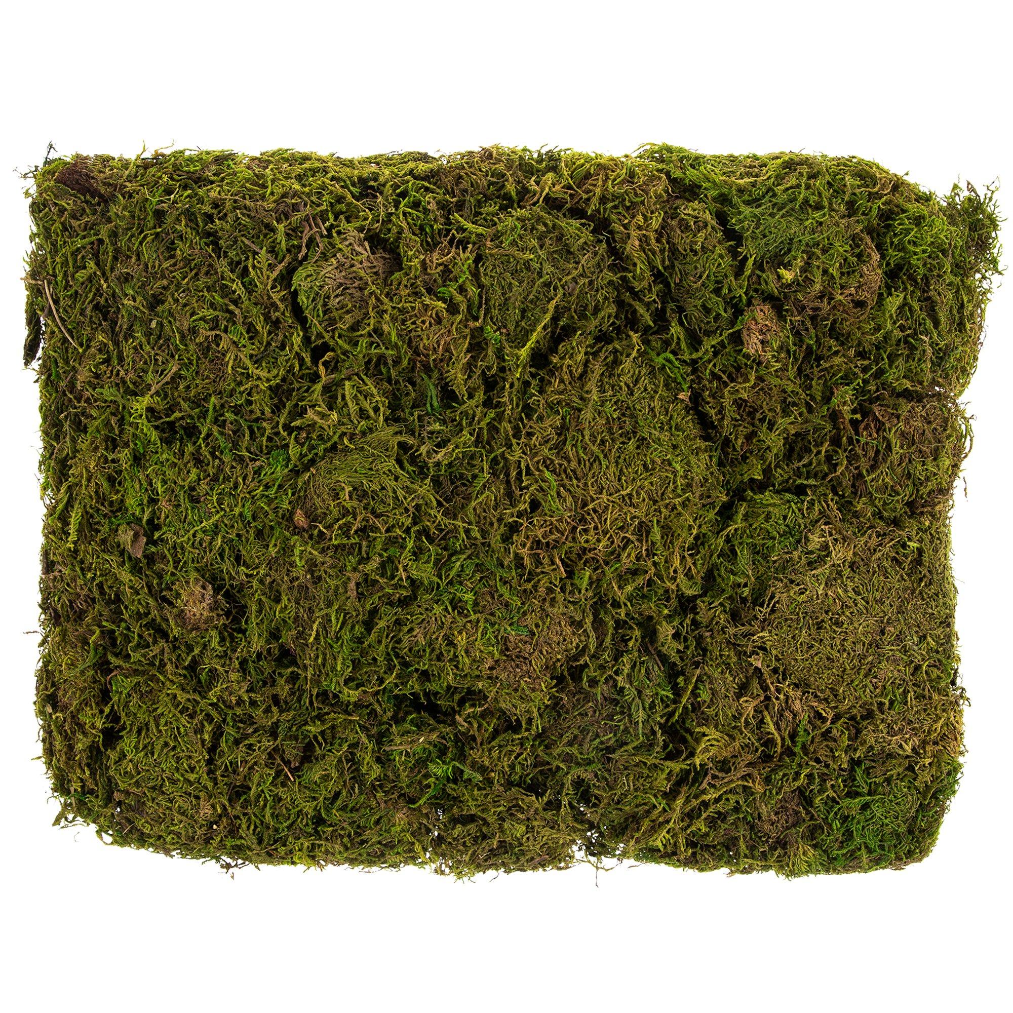 Peel-N-Stick Reindeer Moss Mat