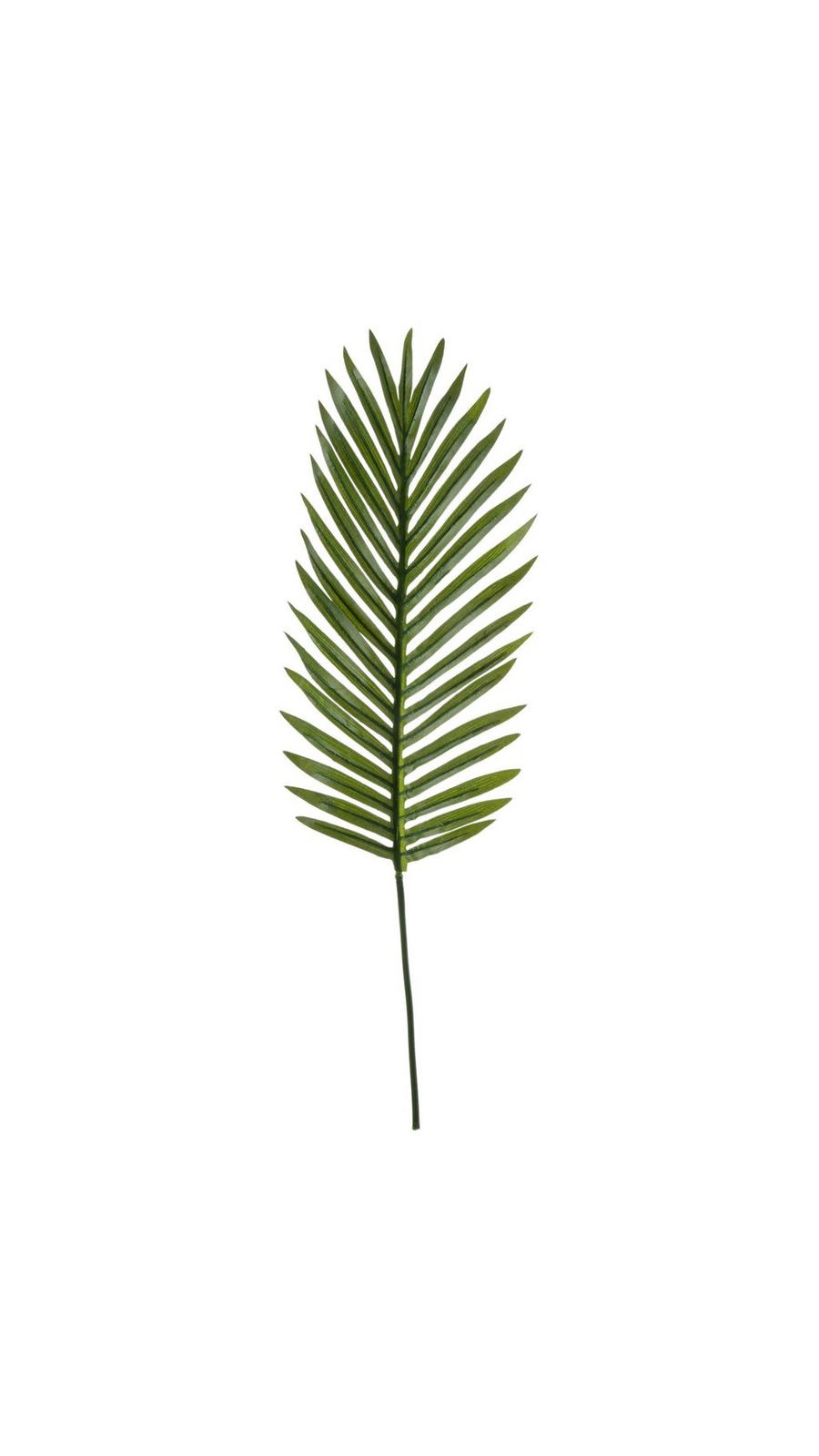 Palm Leaves | Hobby Lobby | 1939214