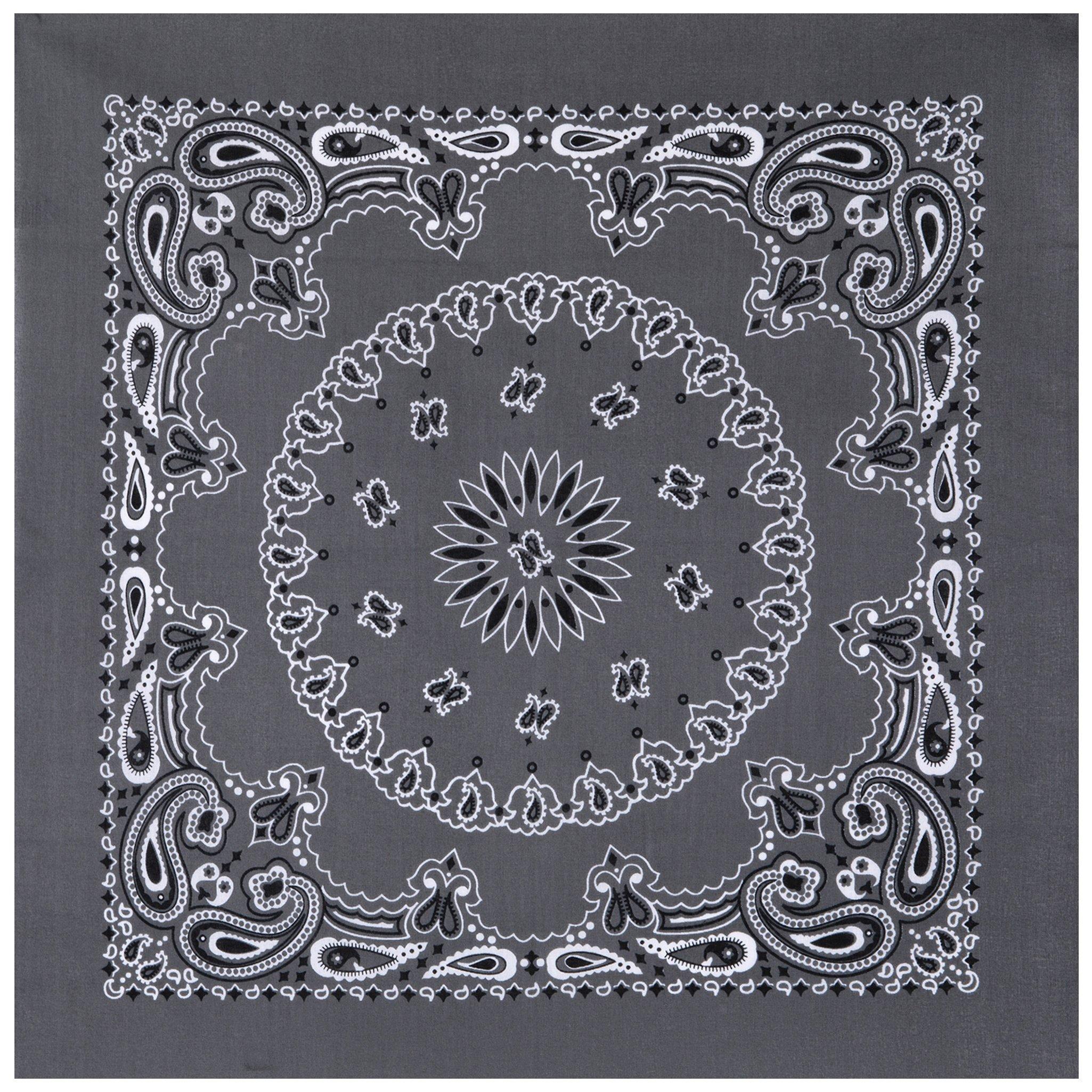 Paisley Bandana | Hobby Lobby | 1974062