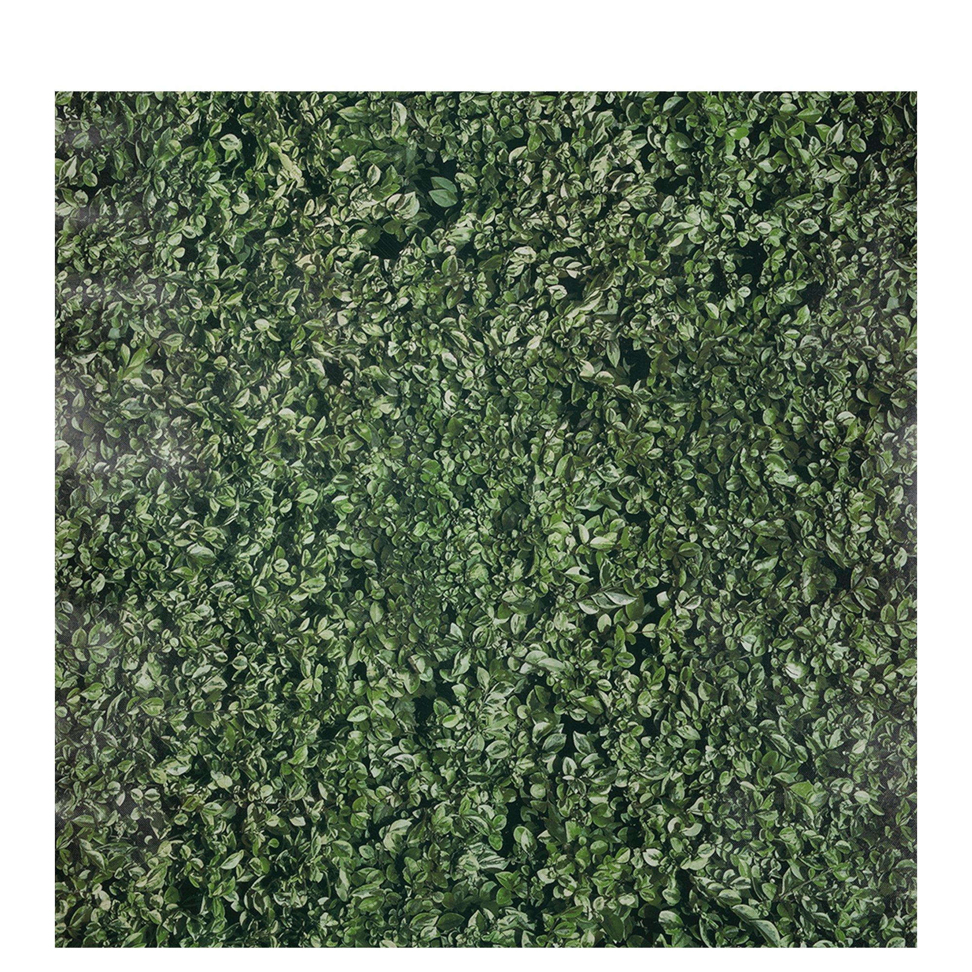 Boxwood Bulletin Board Roll Hobby Lobby 1981091