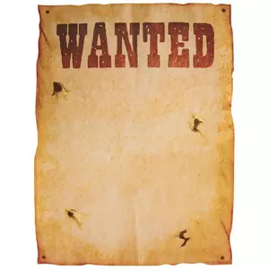 Wanted Western DIY Posters