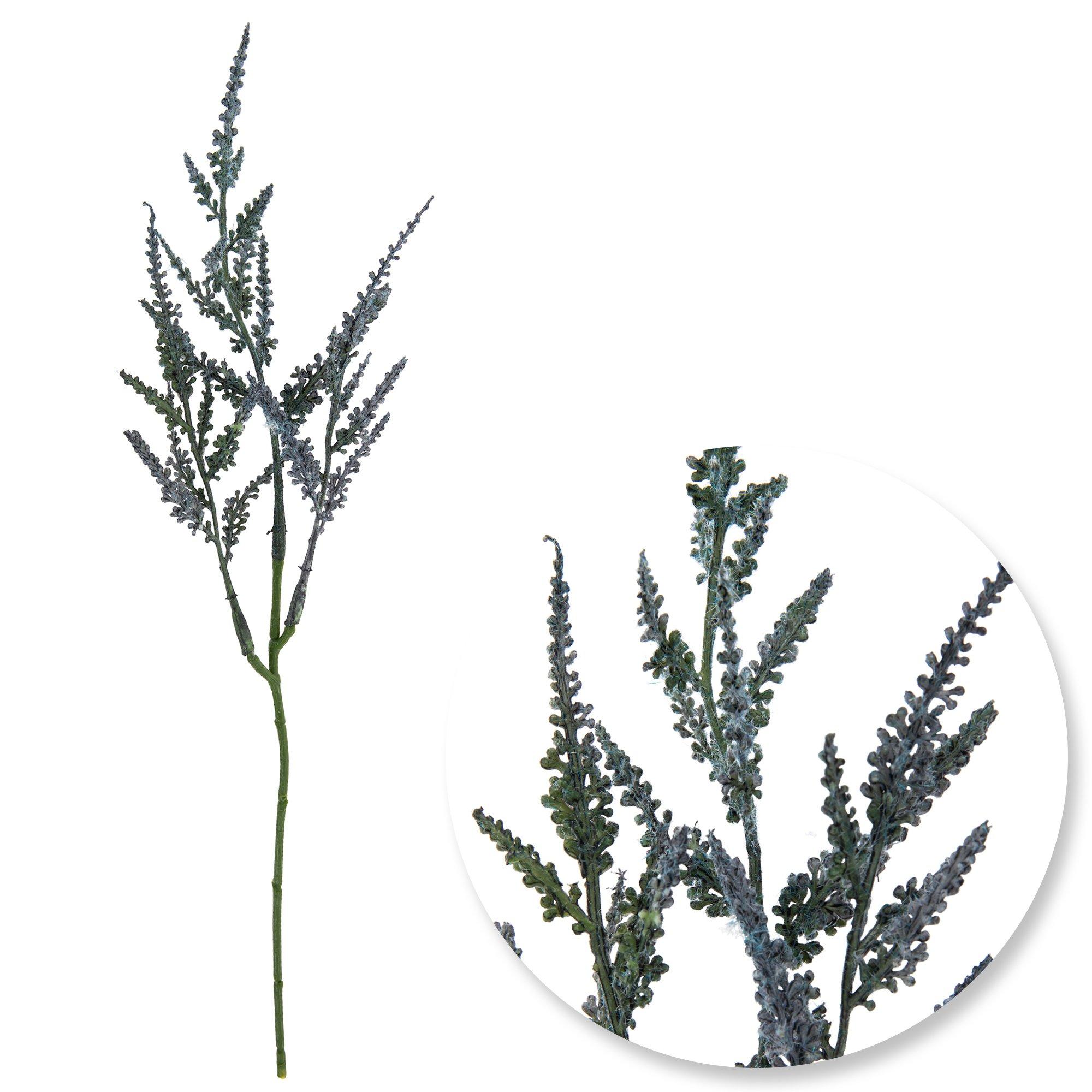 Selected Product Image