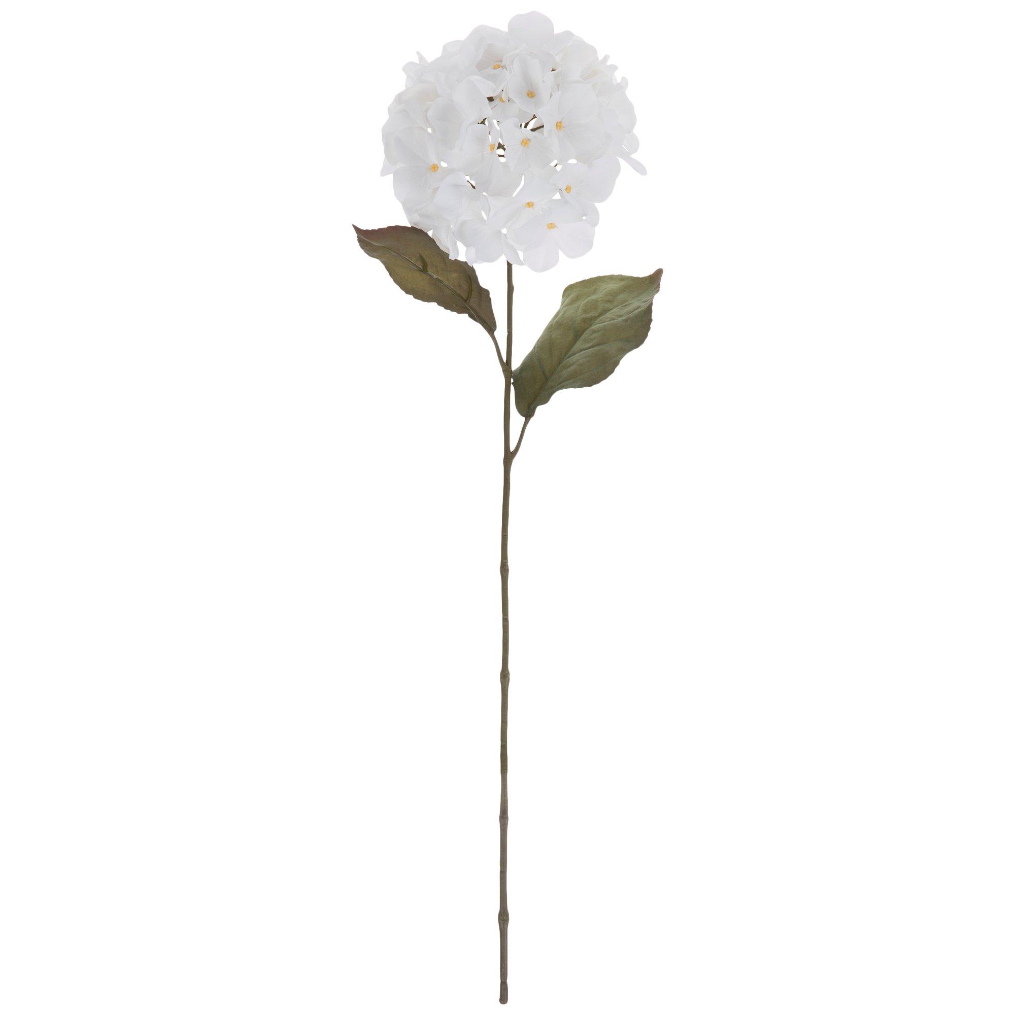 Hydrangea Stem Hobby Lobby 2016178