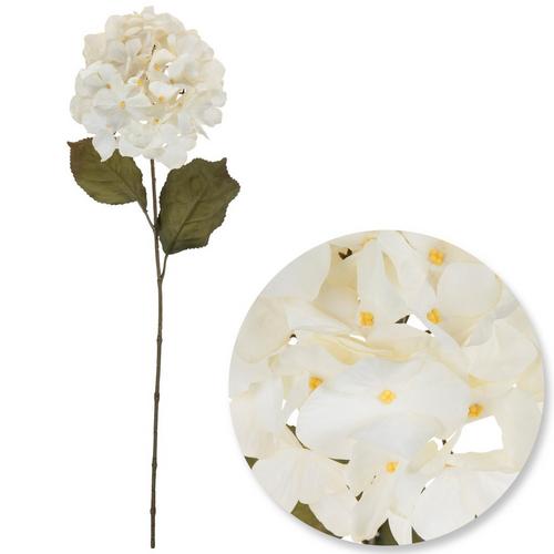 White - Hydrangea Stem