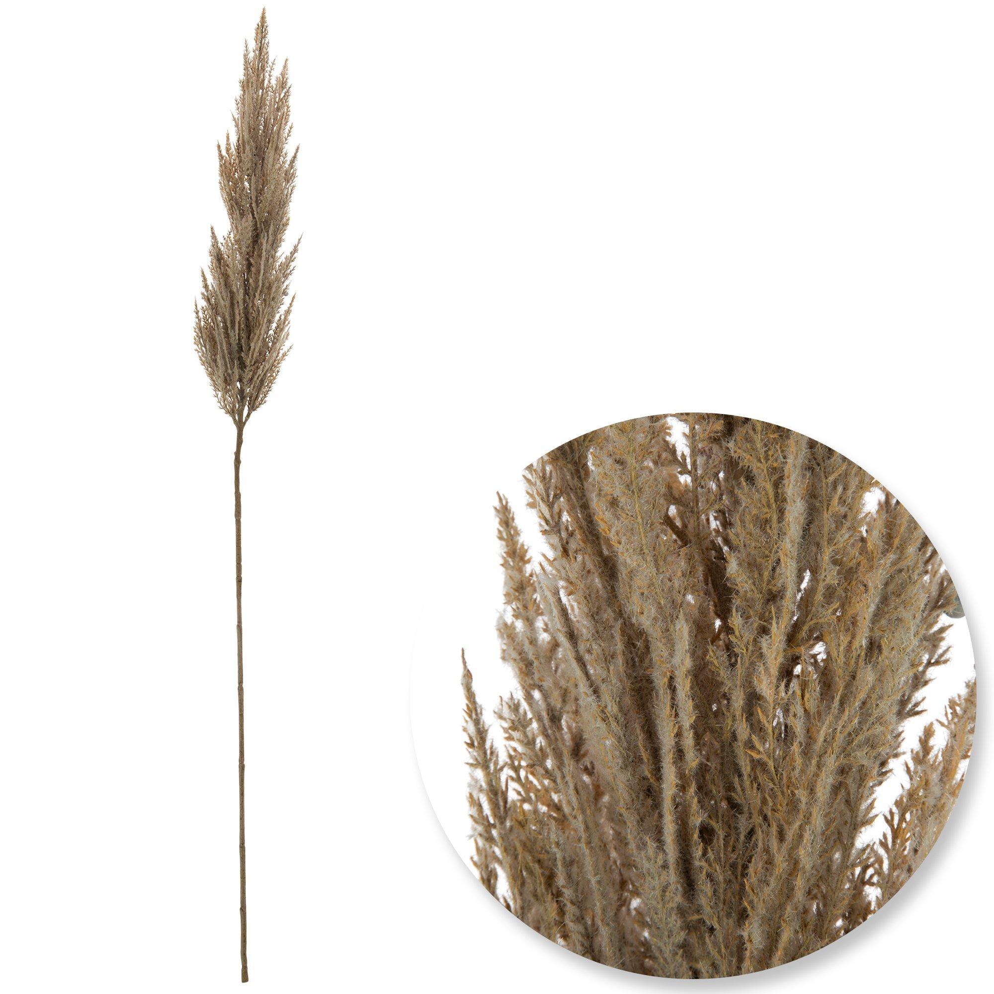 Beige Pampas Grass Stem view 1
