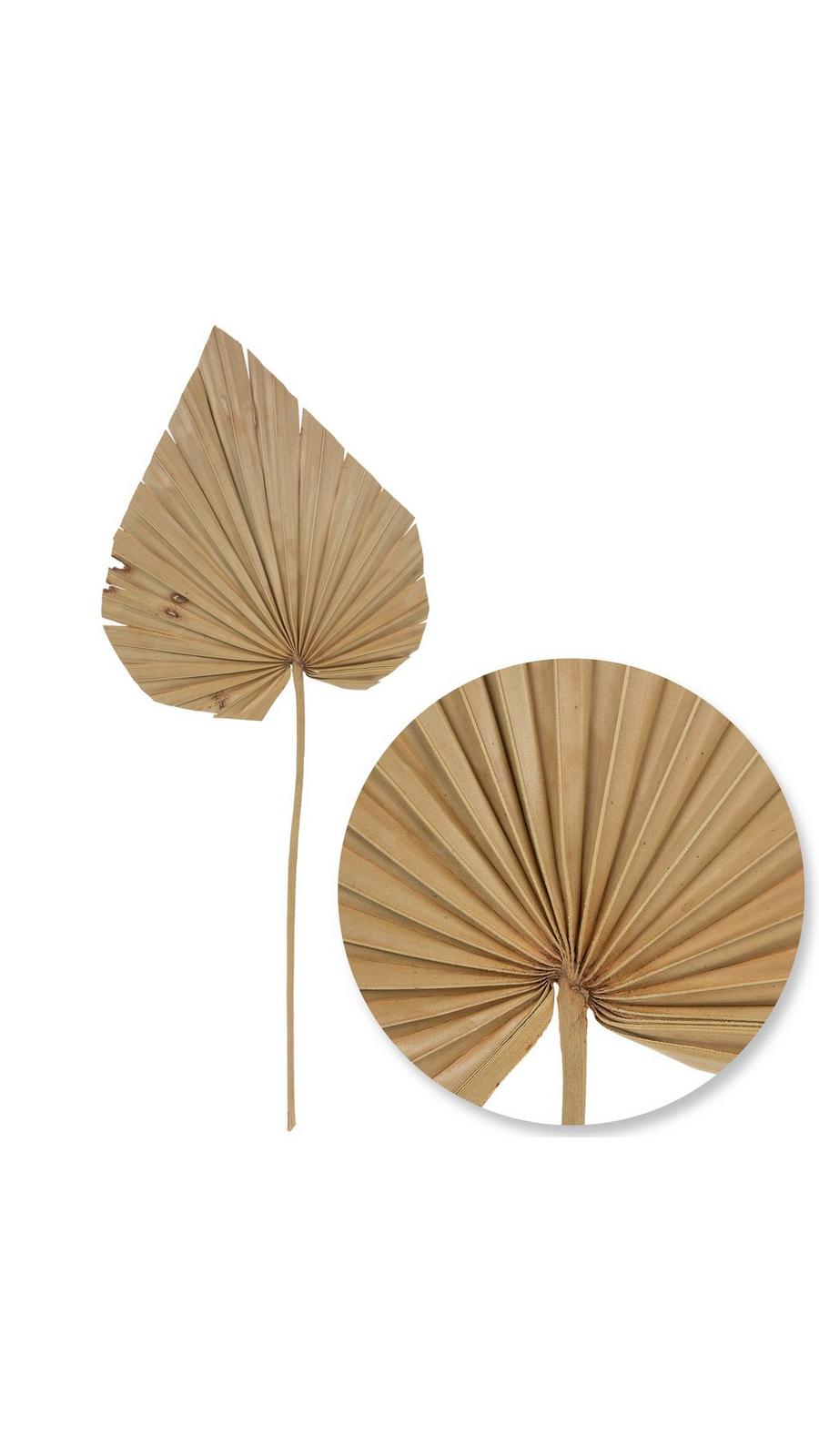 Dried Palm Spear Stem | Hobby Lobby | 2017937
