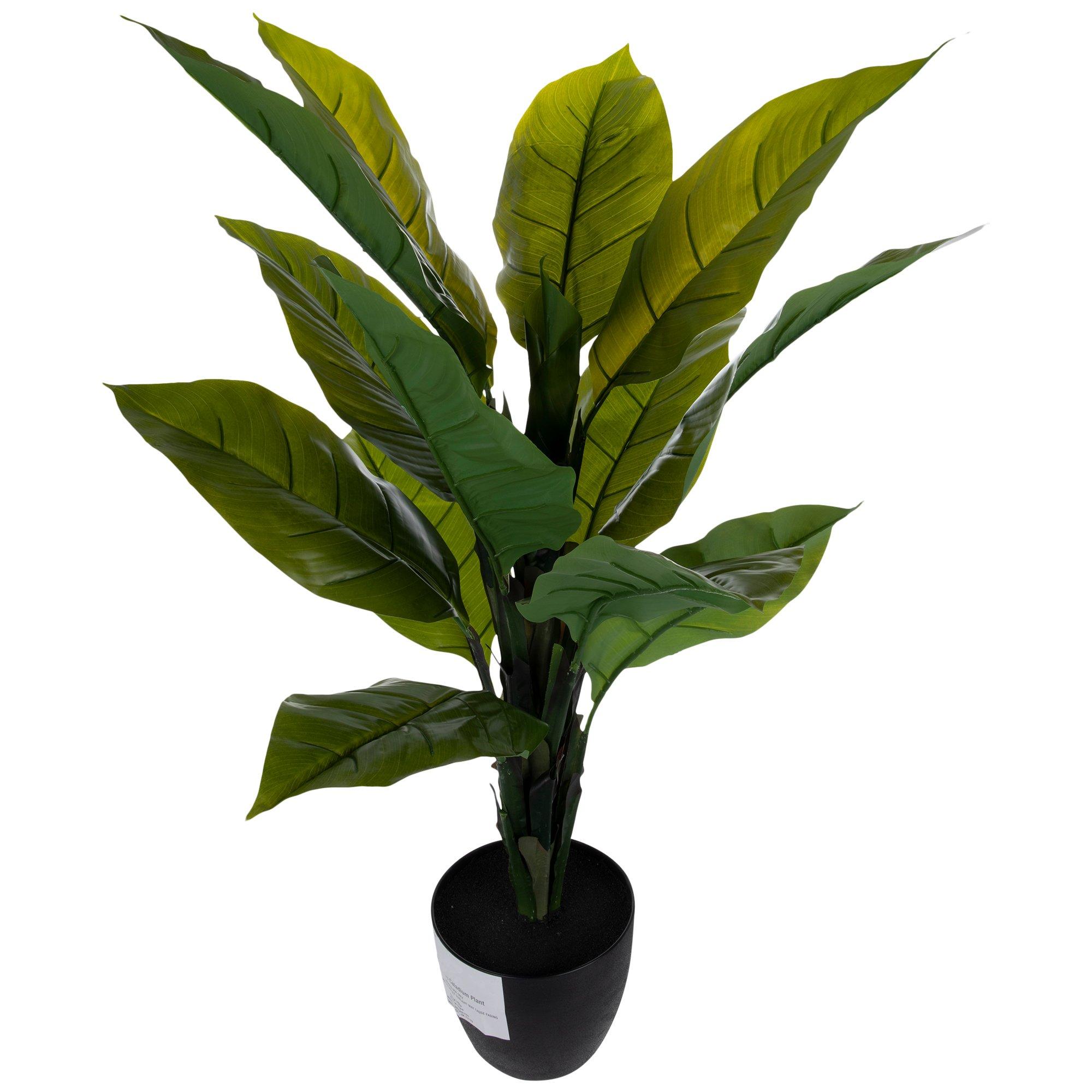 Caladium Tree | Hobby Lobby | 2018604
