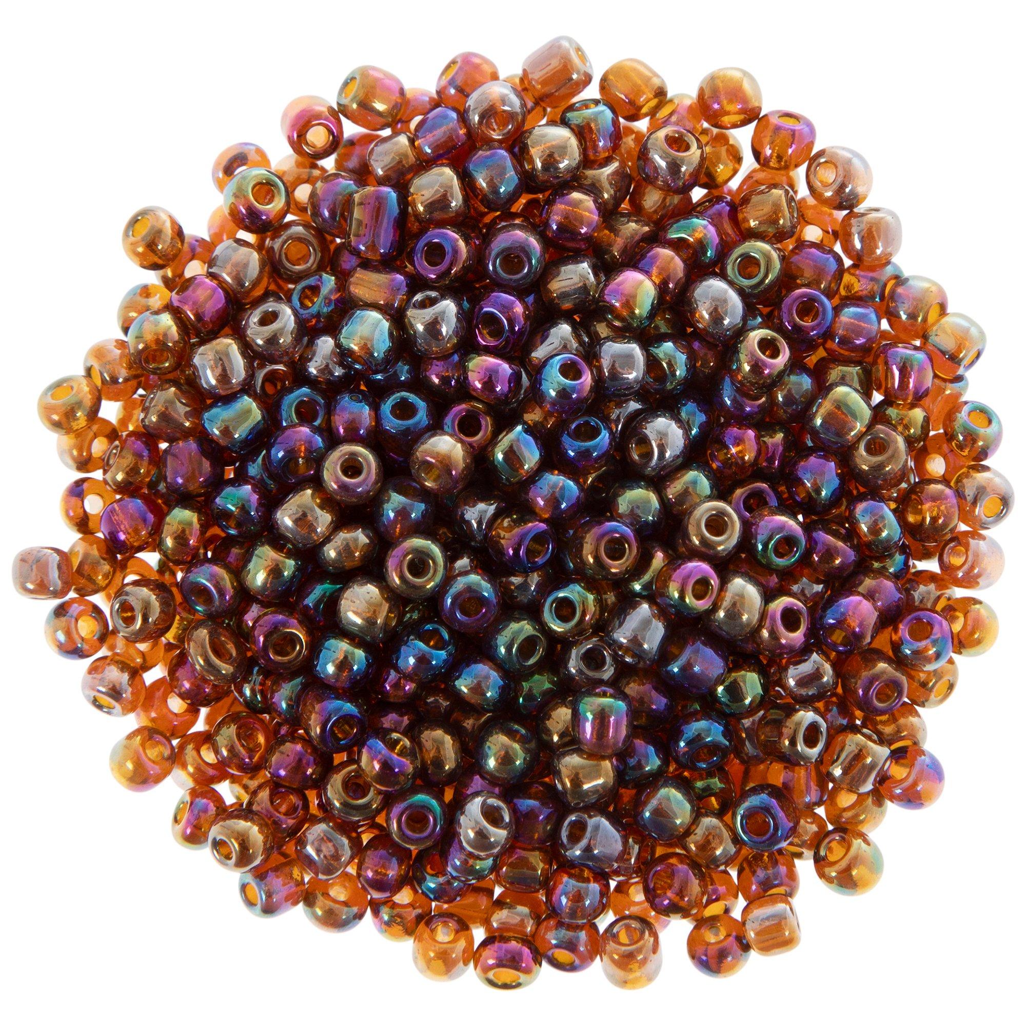 transparent tortoise rainbow