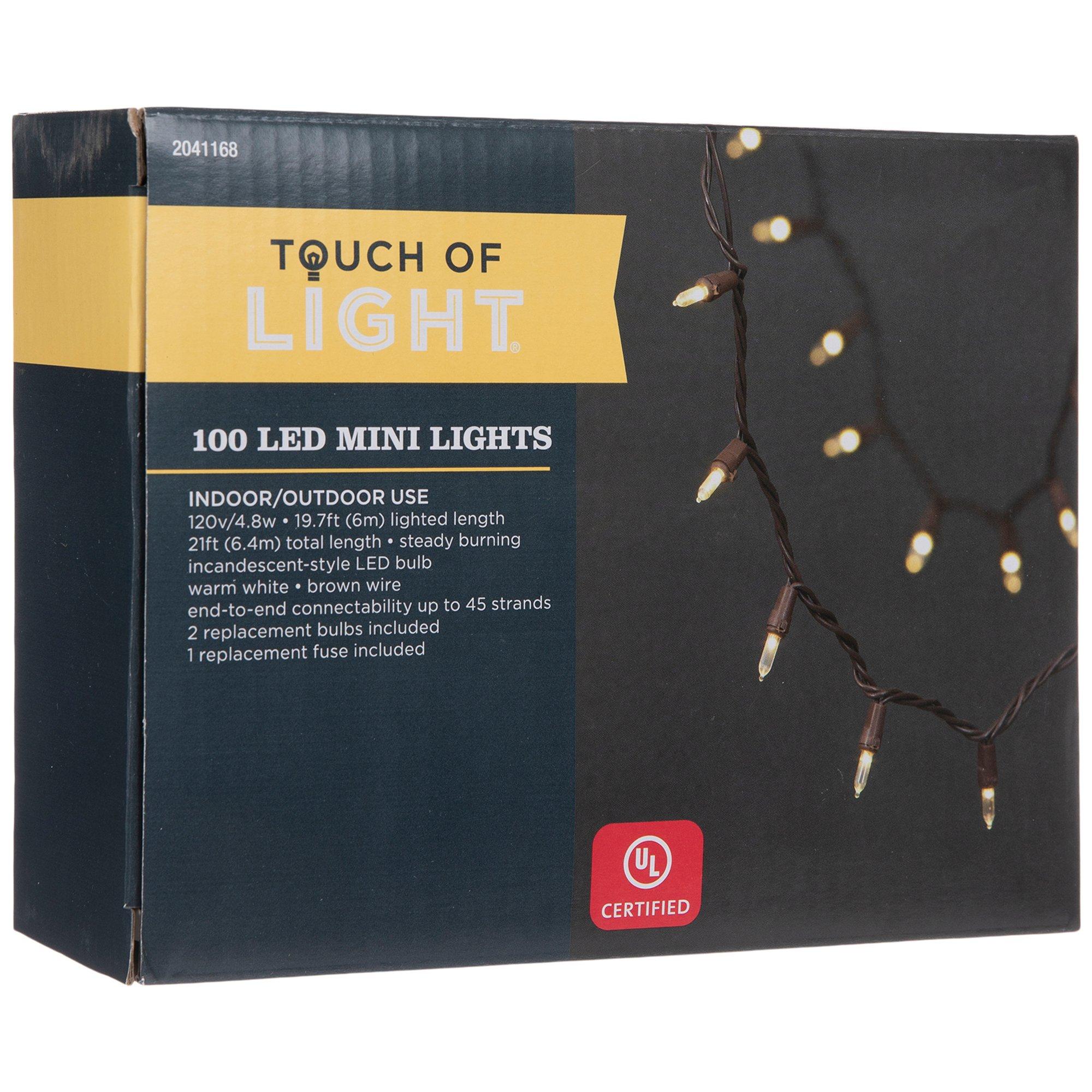 Globe string lights 100 LEDs clear wire 5 m indoor outdoor