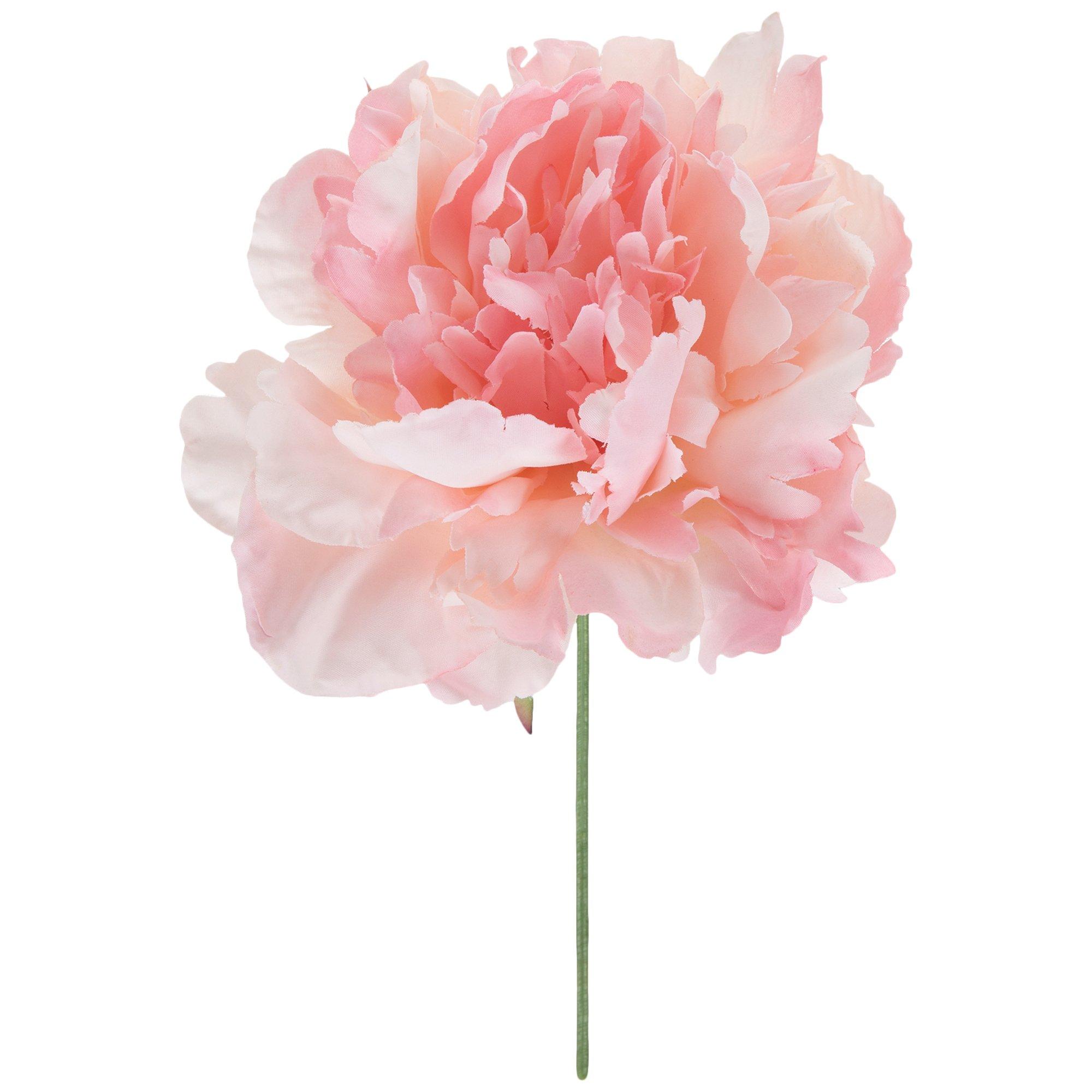 Peony Pick Hobby Lobby 2043396