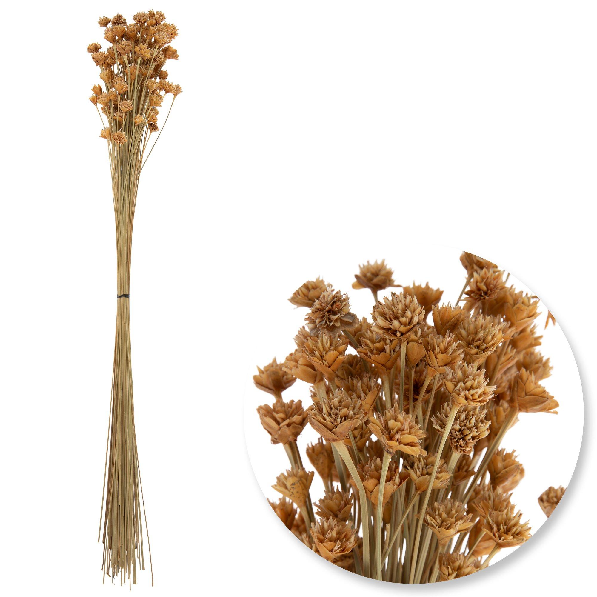 Dried Natural Hill Flower Bundle view 1