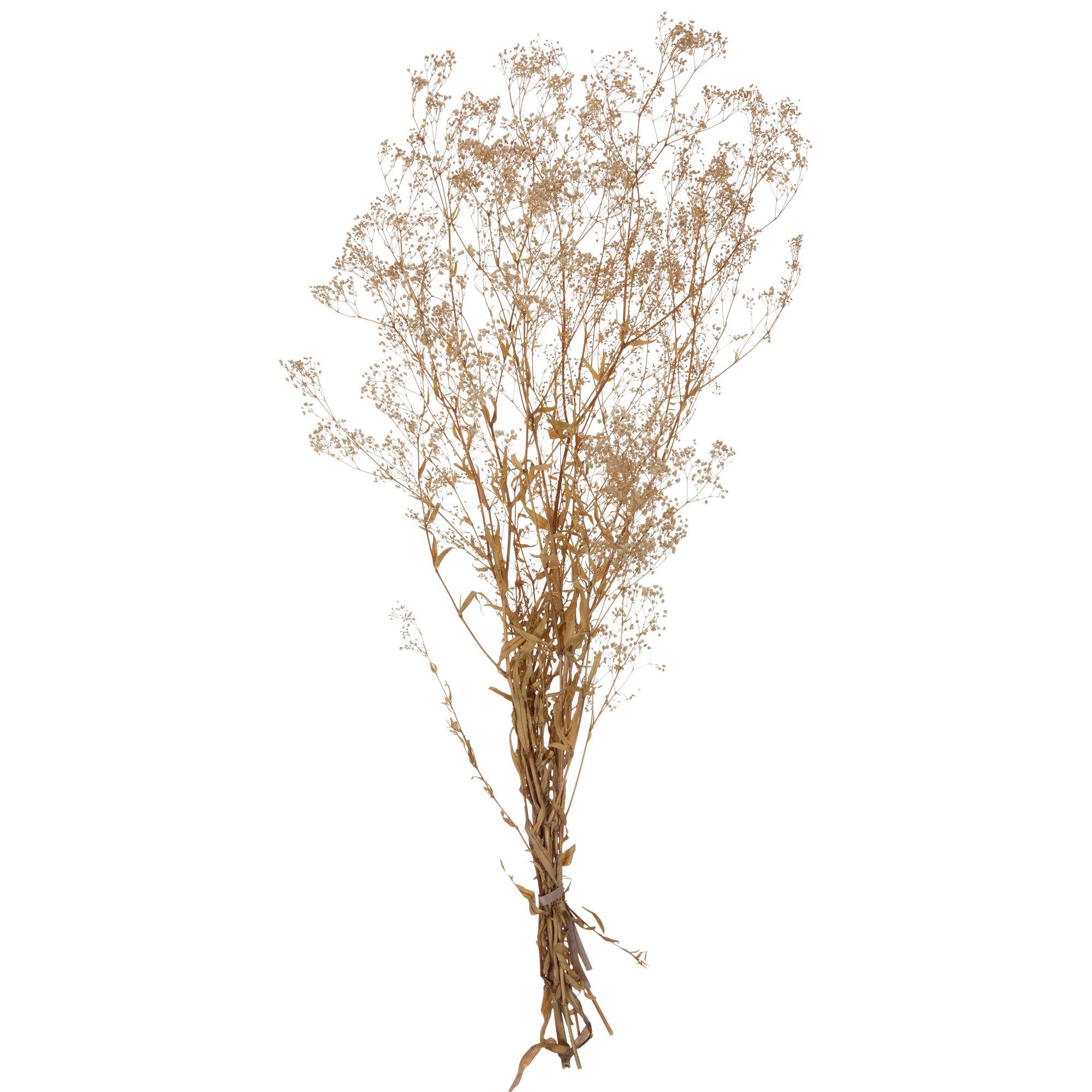 Gold Dried Flower Bundle Hobby Lobby 2044220
