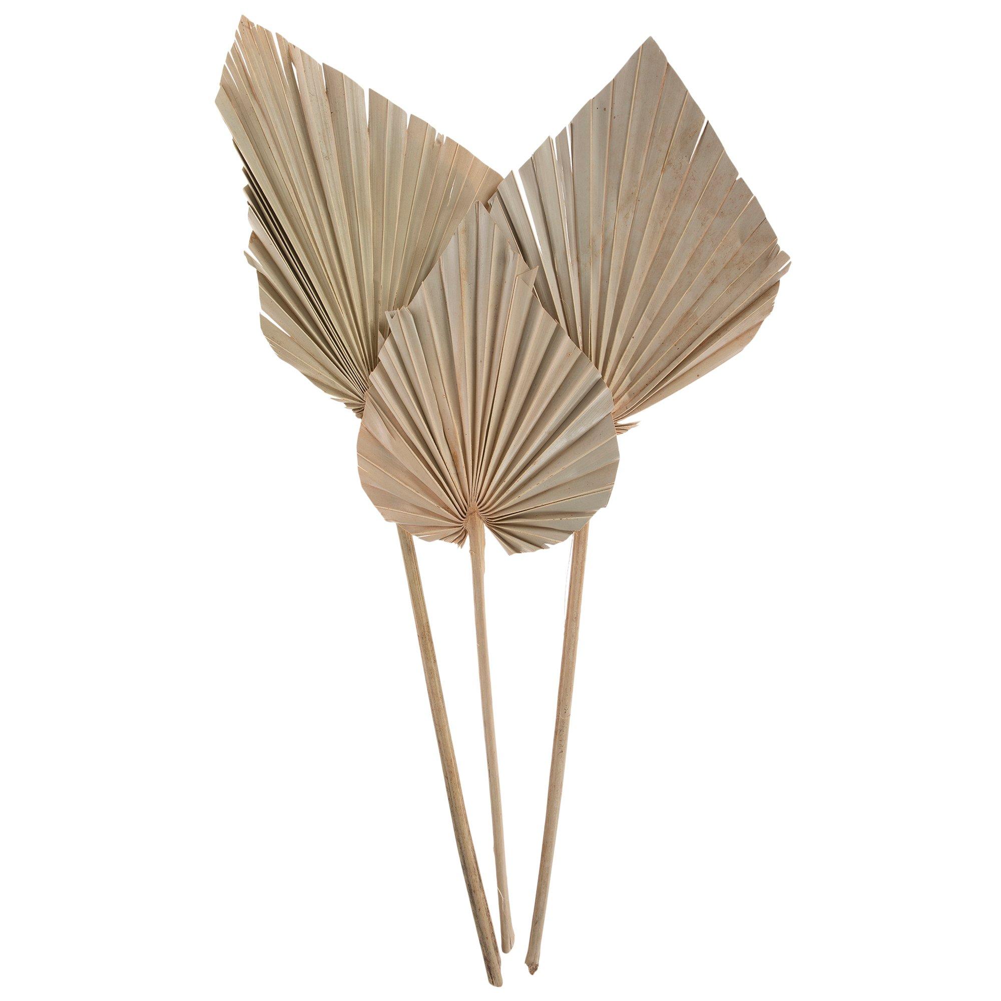 Natural Dried Palm Spears Hobby Lobby 2048288