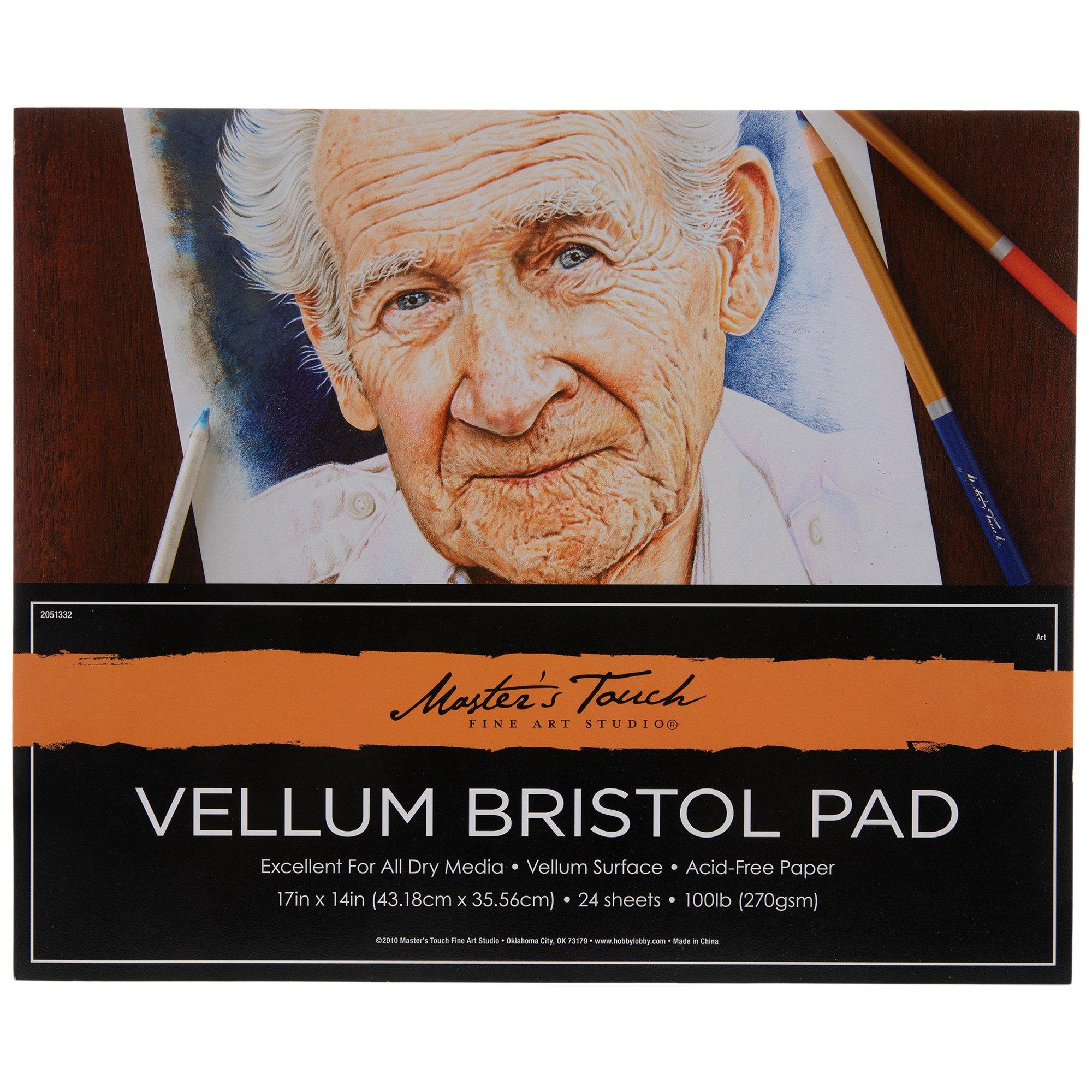 Strathmore Bristol Smooth Paper Pad 14X17-20 Sheets 