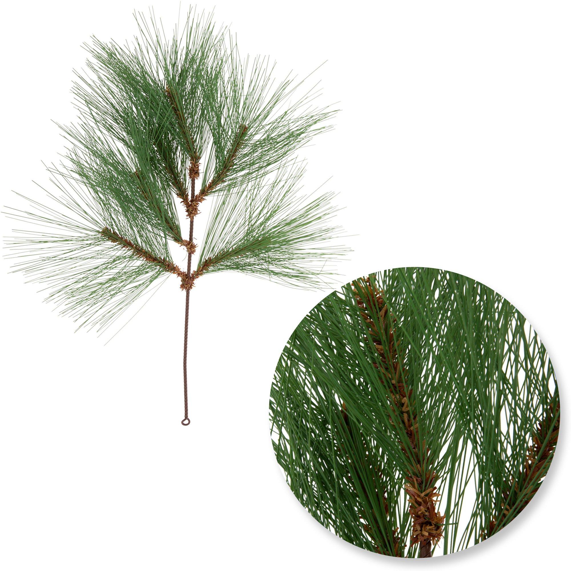 Selected Product Image