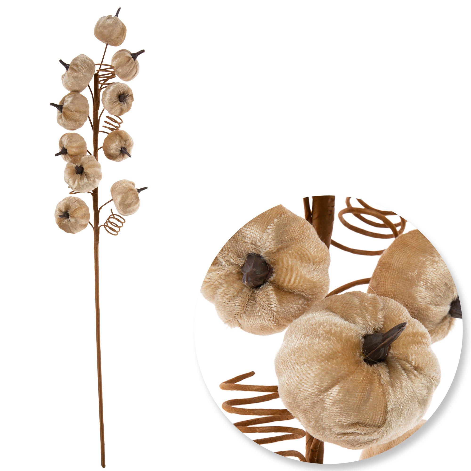 Pumpkin Branch Hobby Lobby 205693676