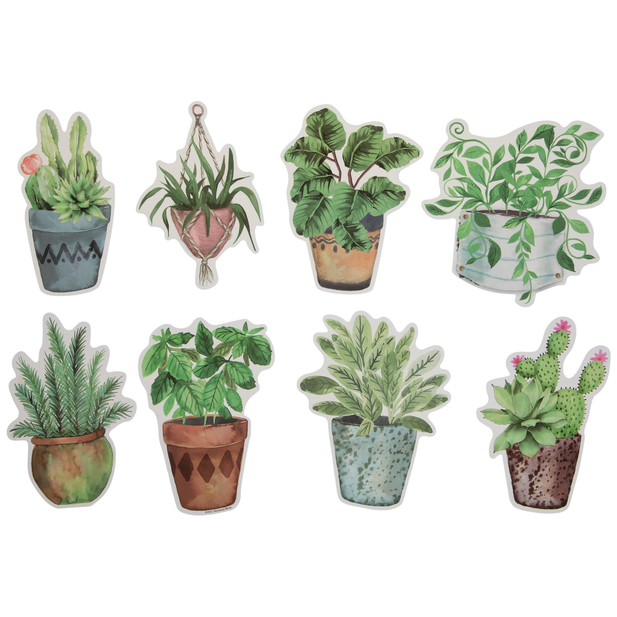 Selected Product Image