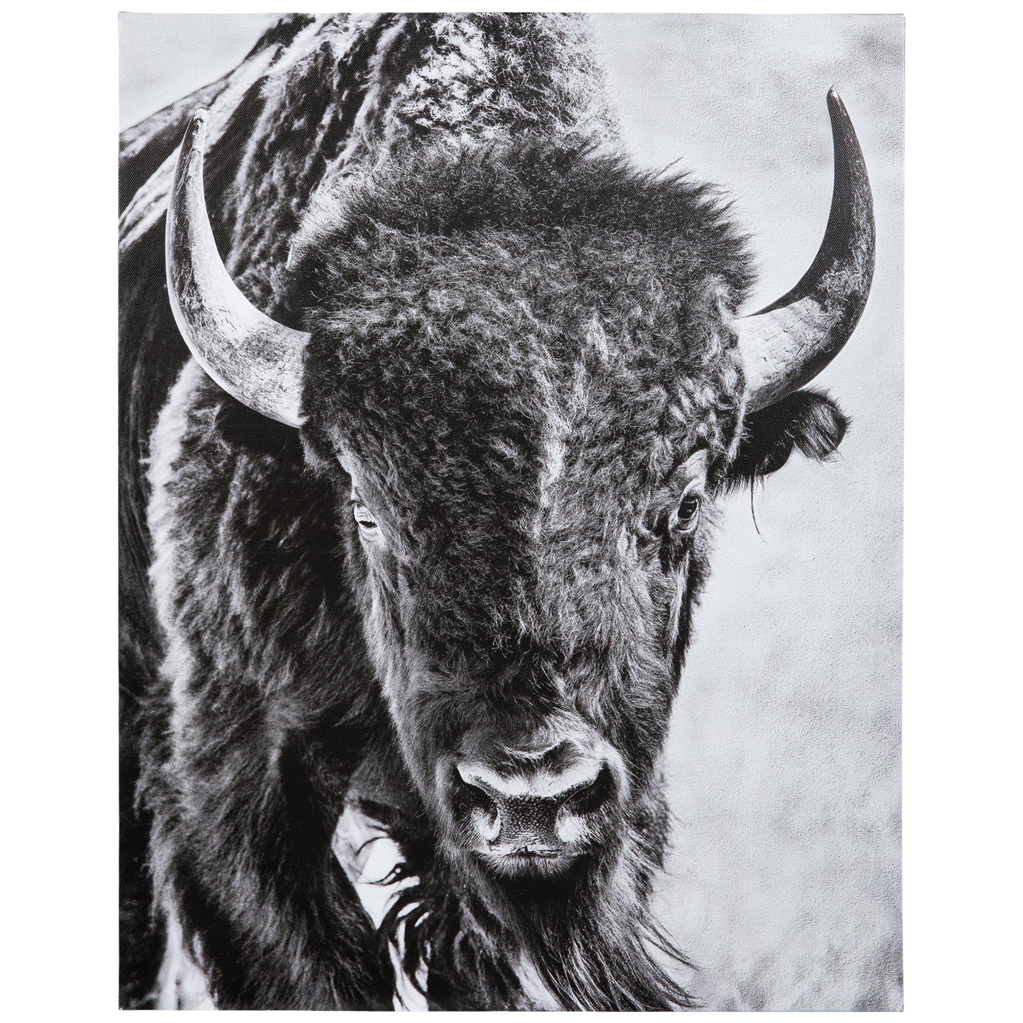 Black & White Bison Canvas Wall Decor | Hobby Lobby | 2059772