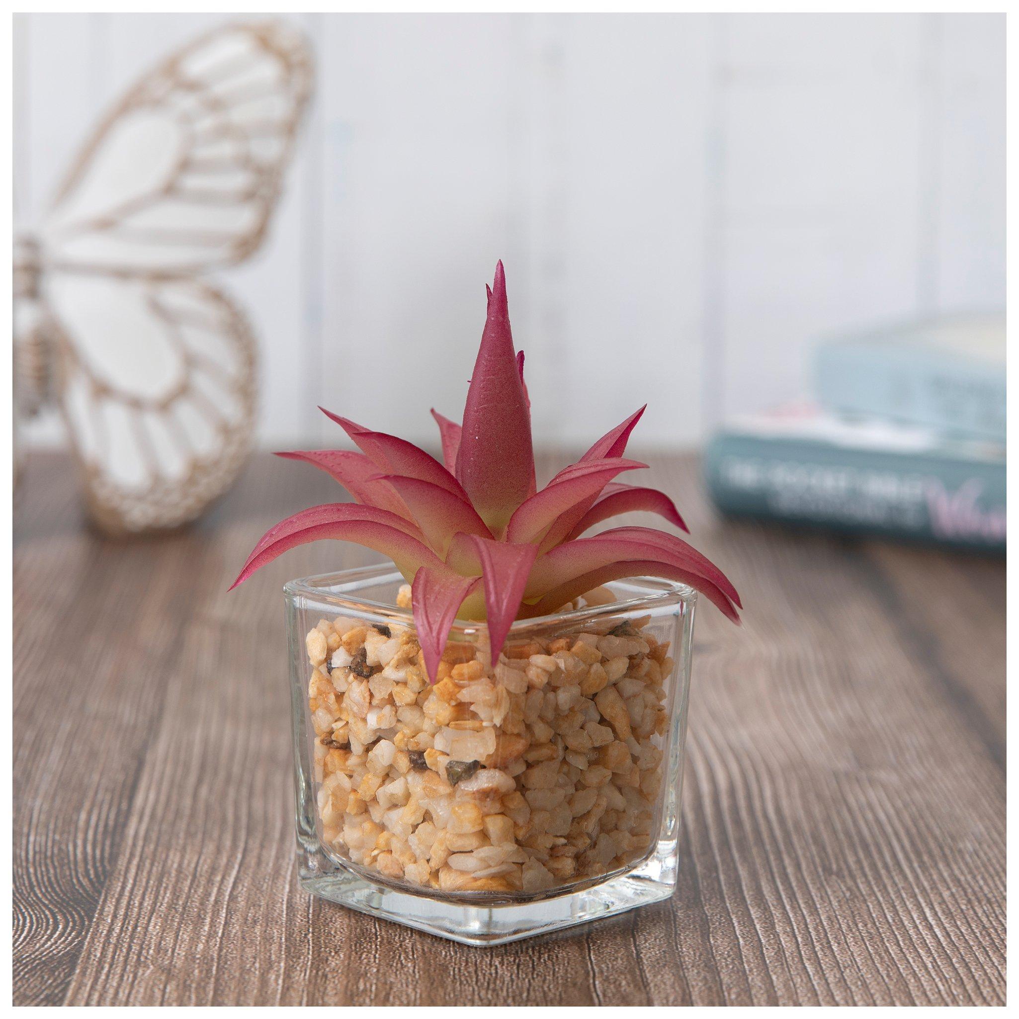 Red Succulent In Glass Pot | Hobby Lobby | 206304646