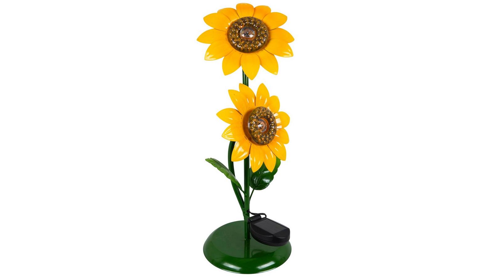sunflower Metrolina Greenhouses Yellow Sunfinity Sunflower in 2.5