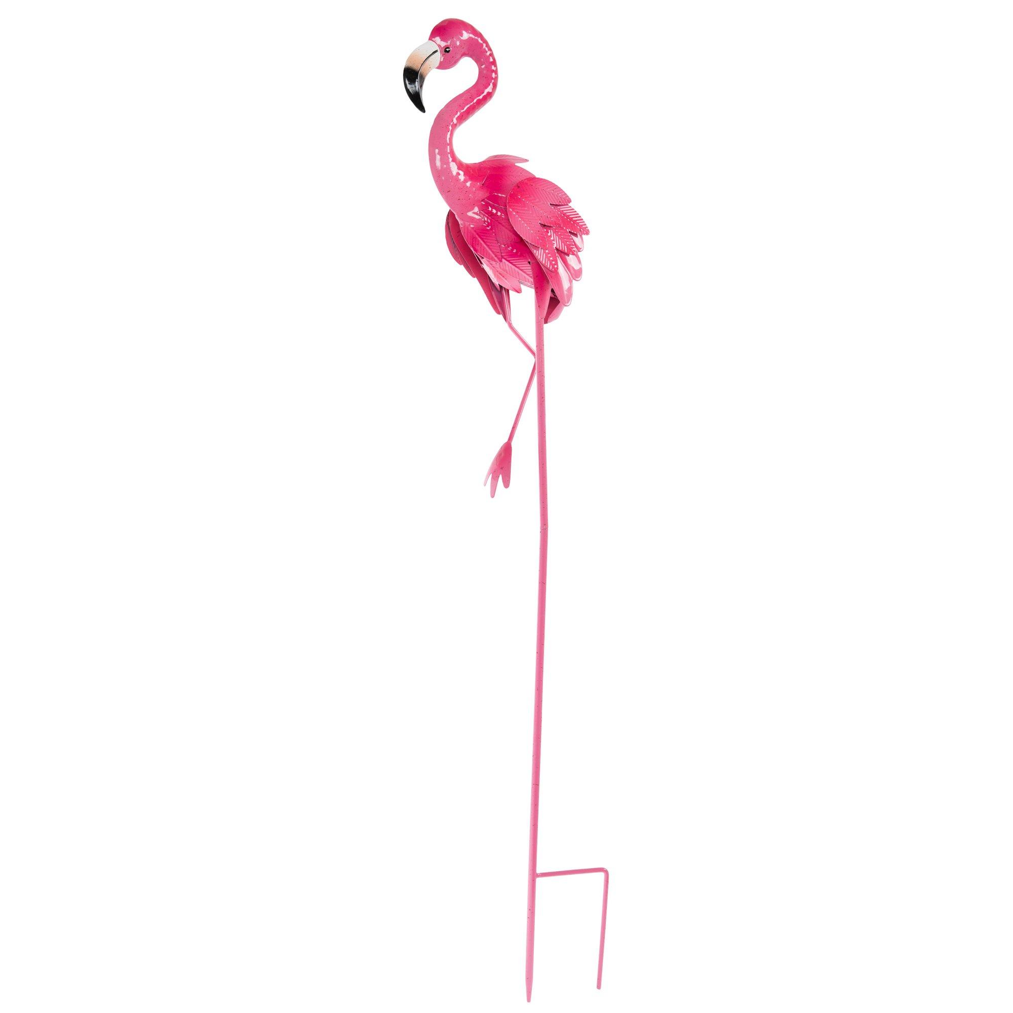 Flamingo\