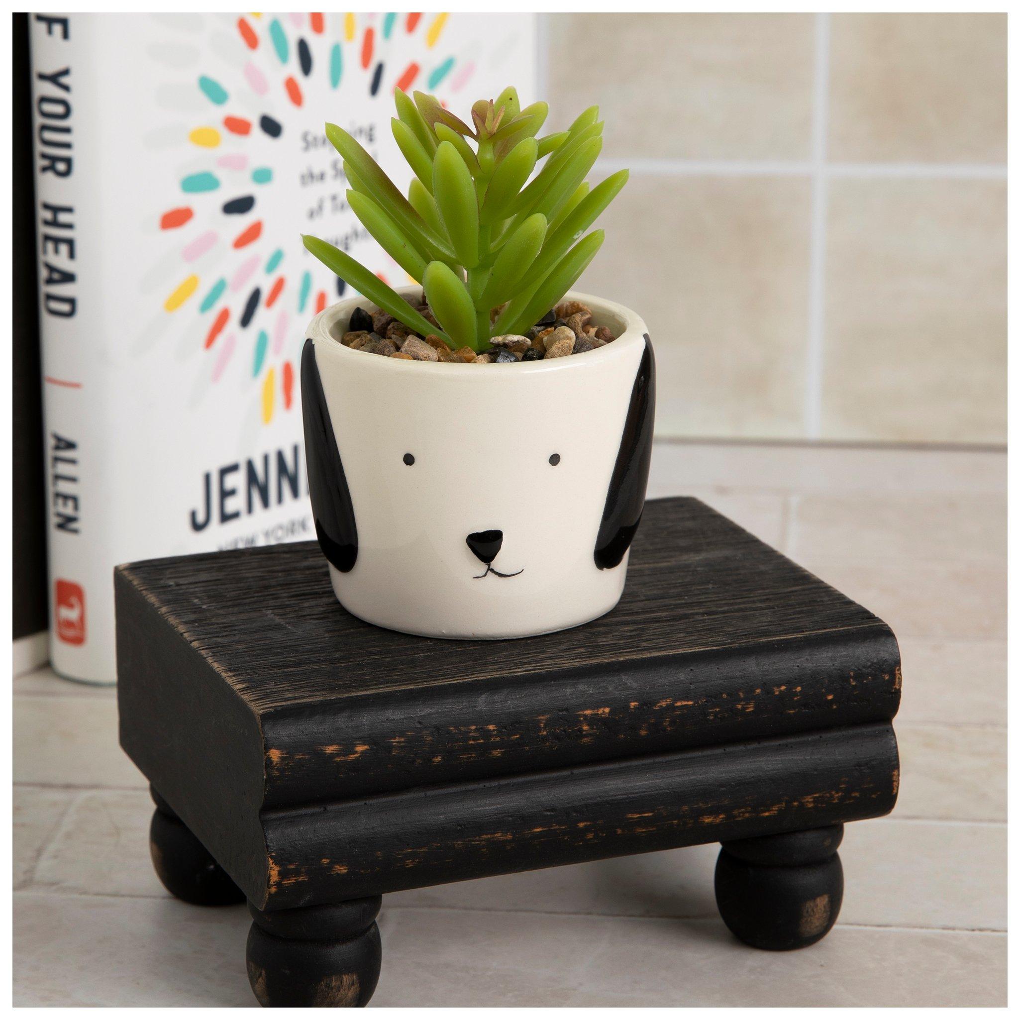 Selected Product Image