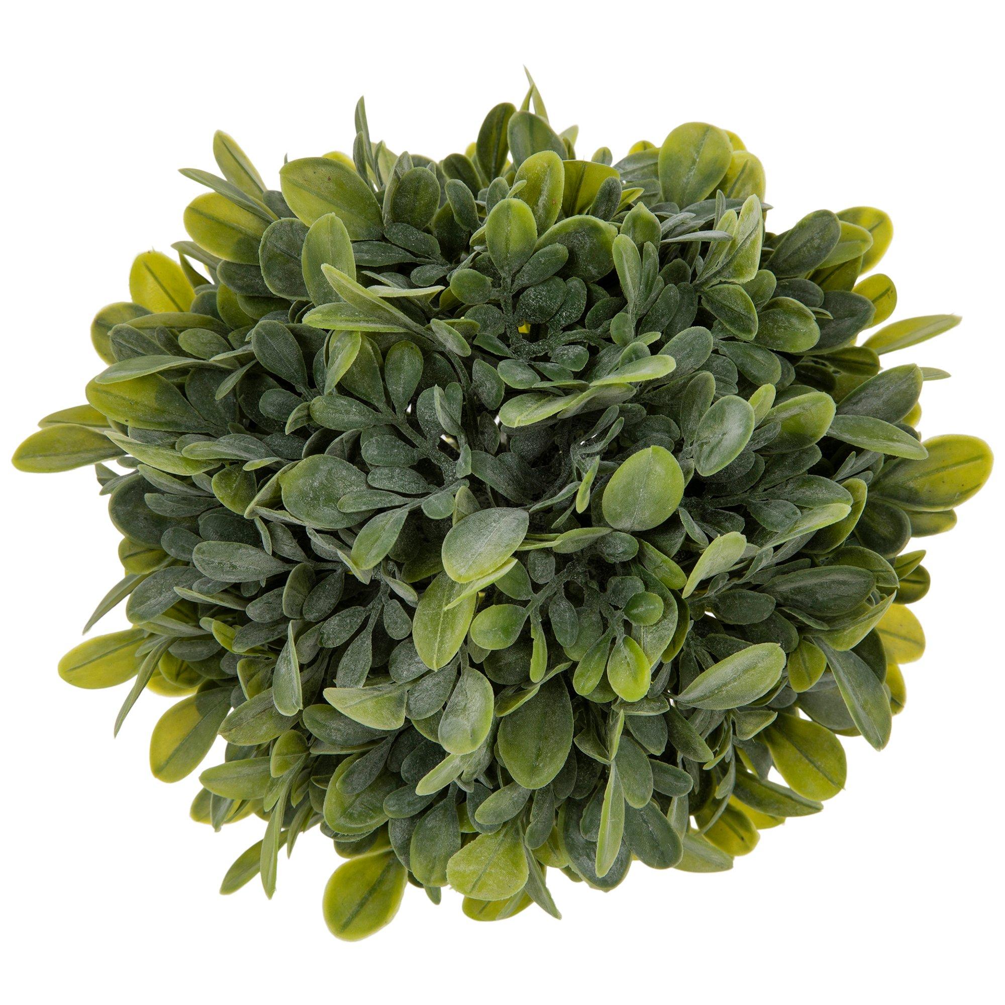 Boxwood Greenery Decorative Sphere Hobby Lobby 2072023