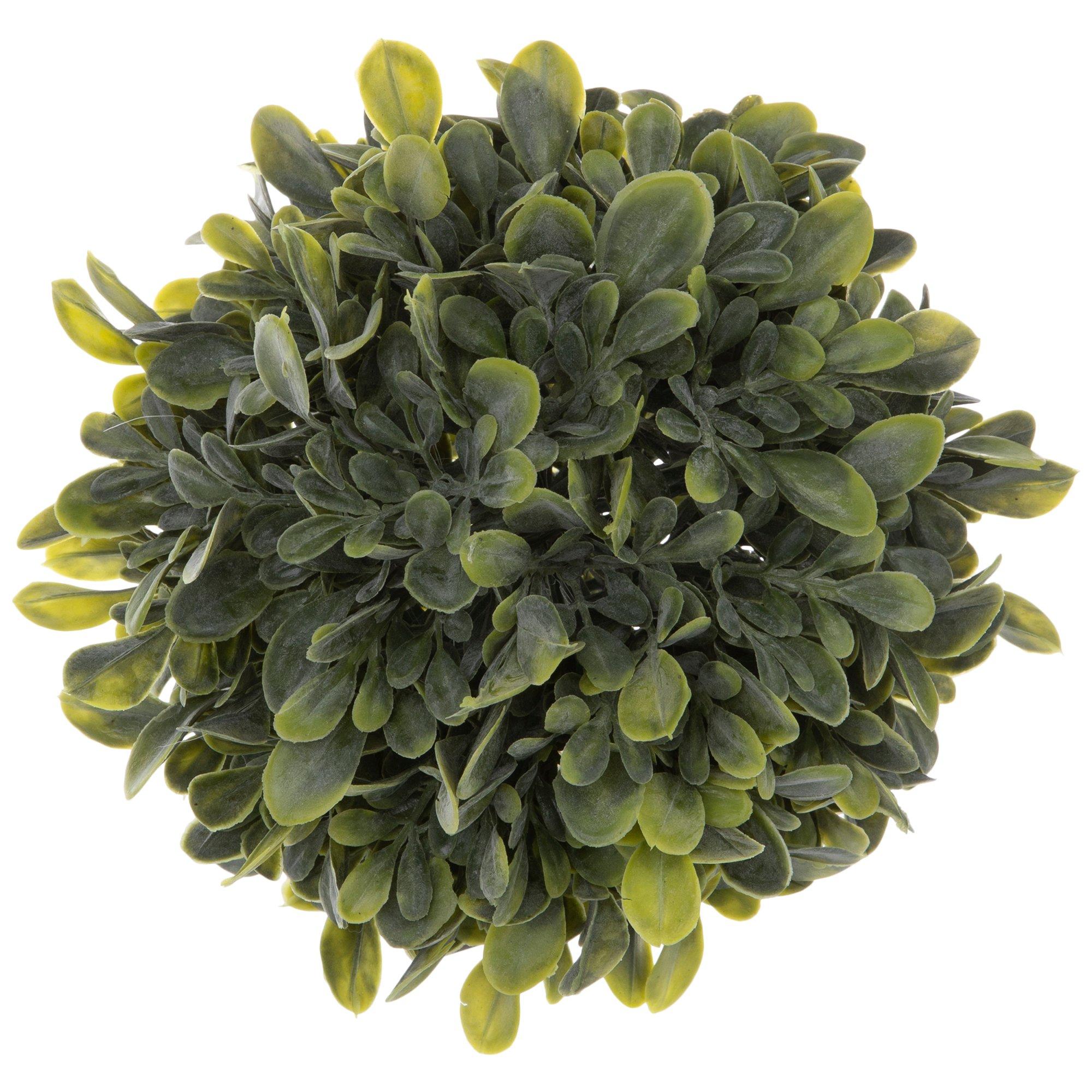 Boxwood Greenery Decorative Sphere Hobby Lobby 2072023