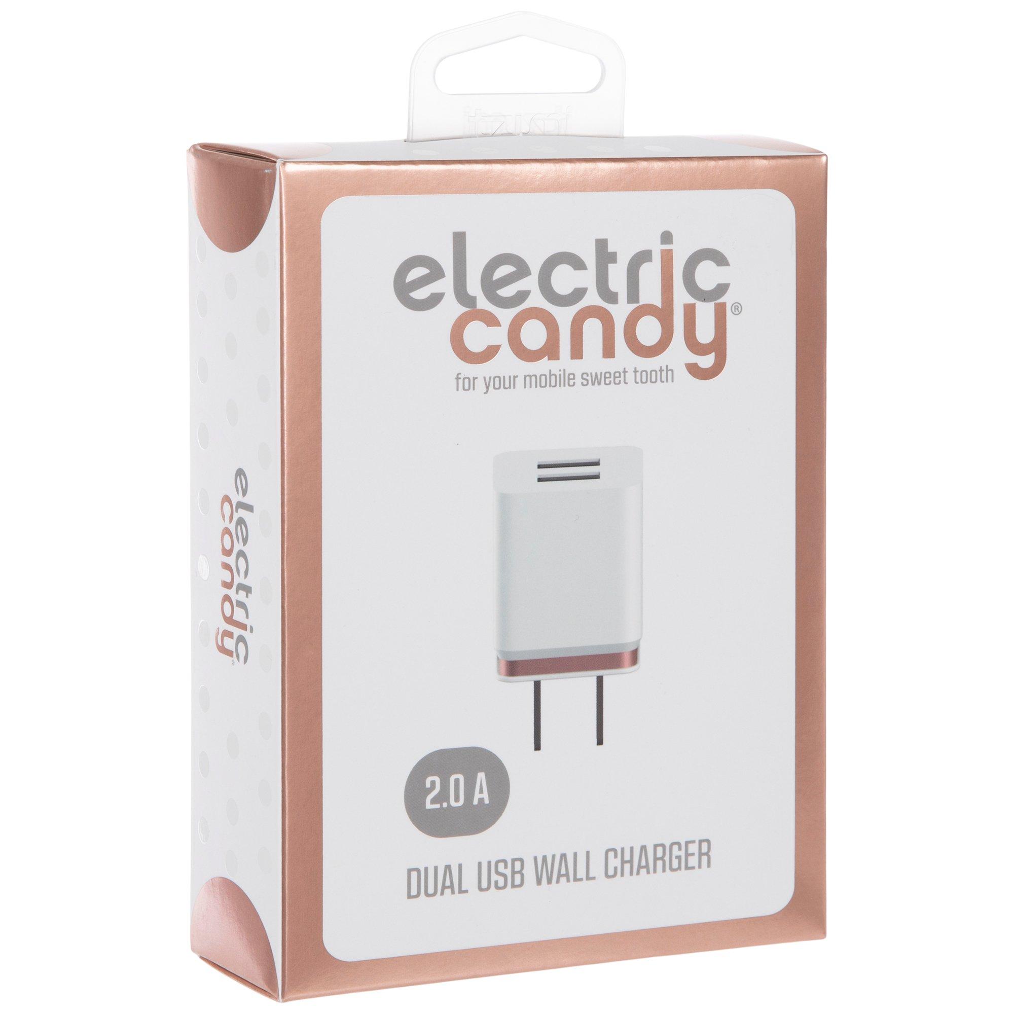 Dual USB Wall Charger Hobby Lobby 2076941