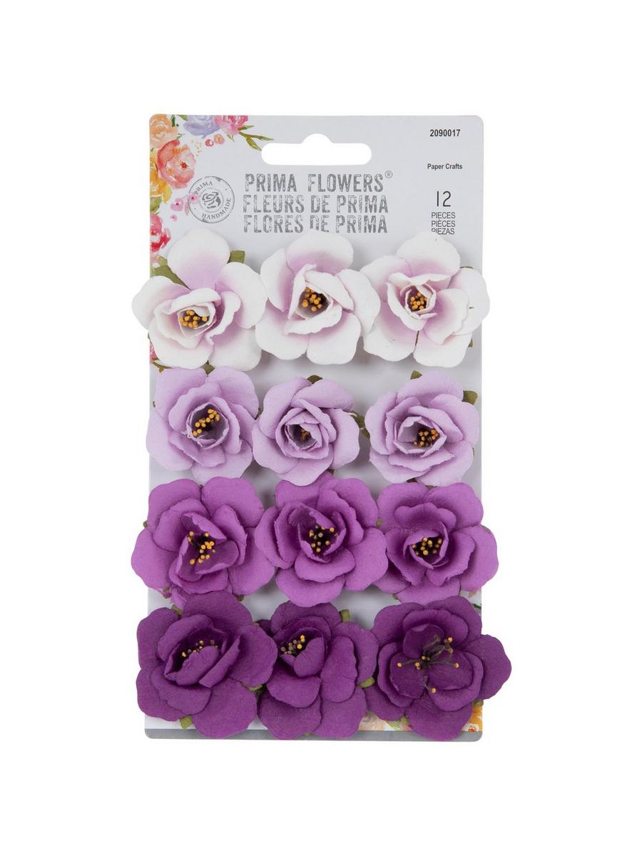 2090017-81039197-IMGSET?w=900&