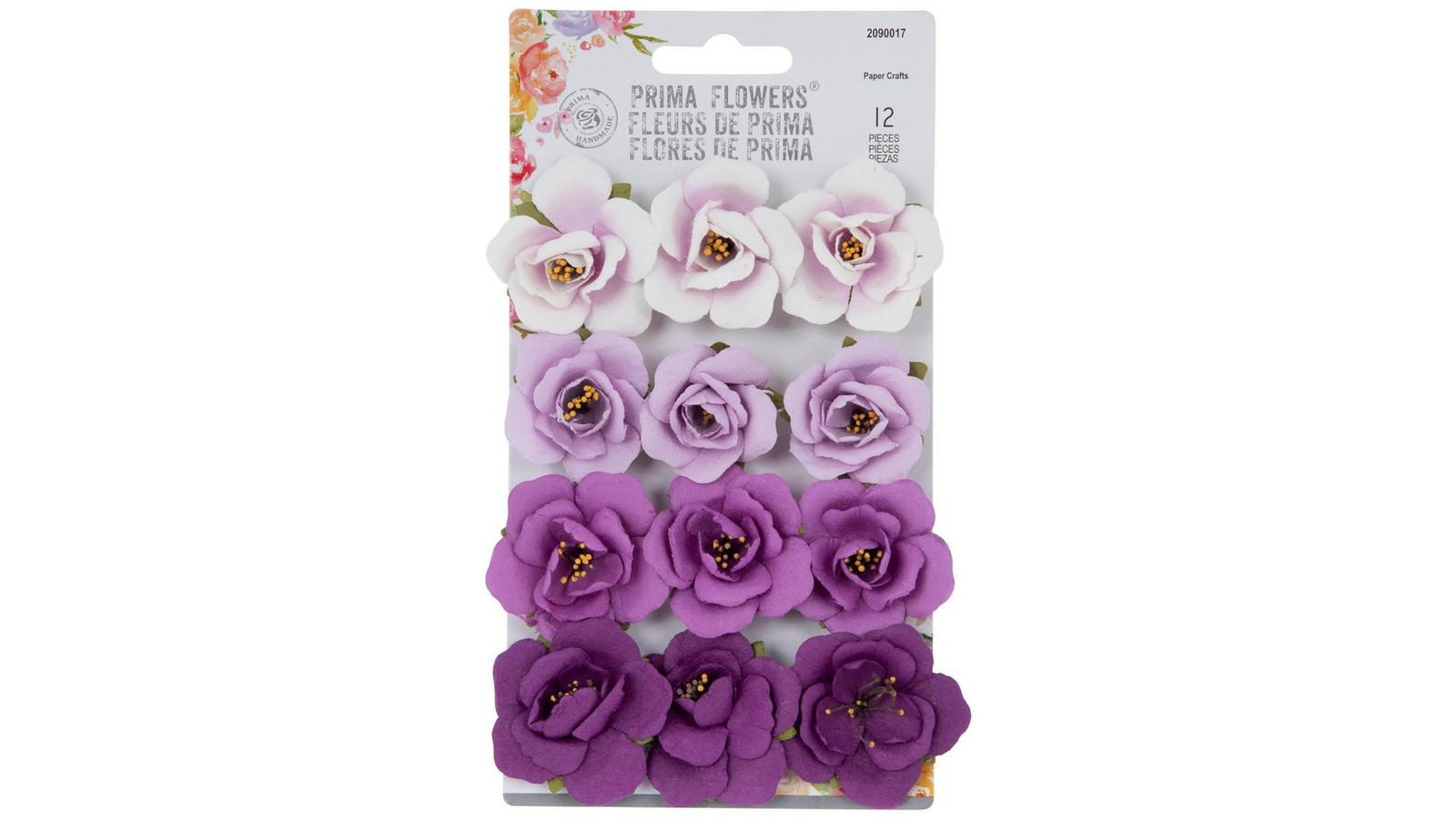 2090017-81039197-IMGSET?w=1600