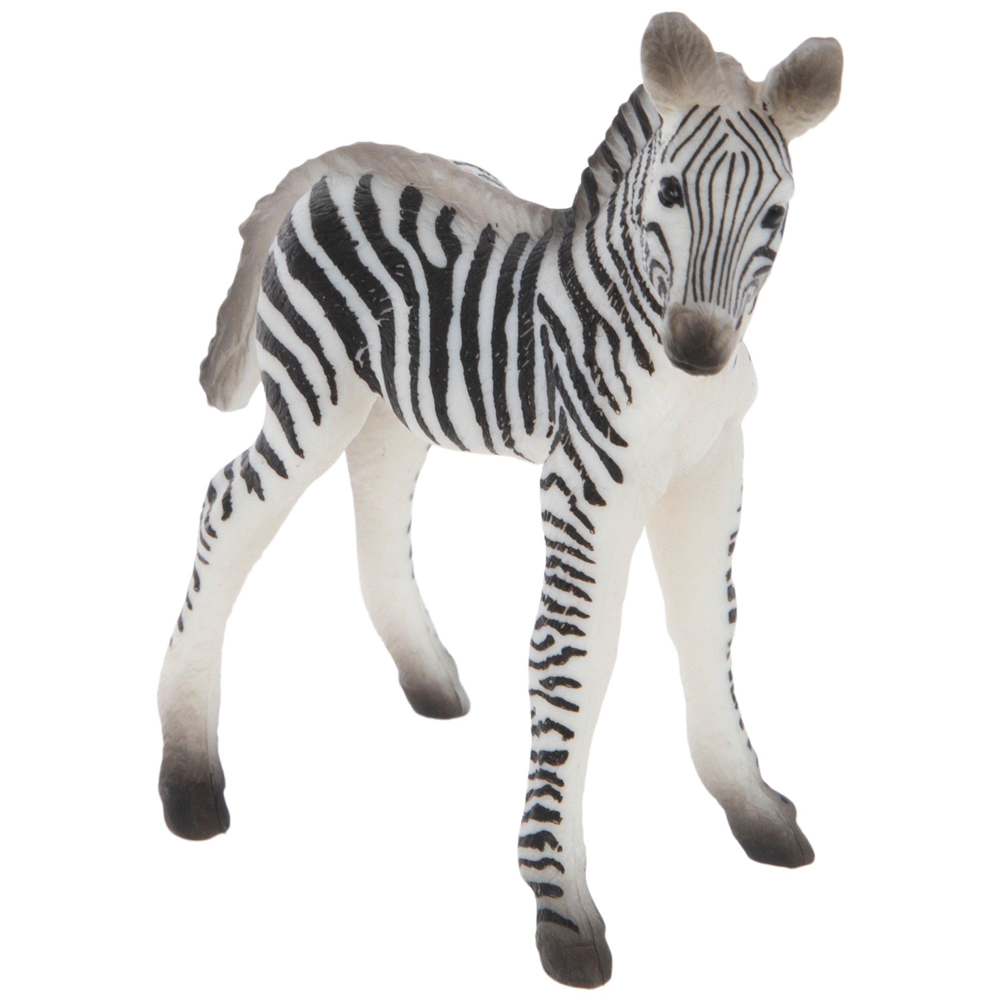 Baby Zebra Hobby Lobby 2104875