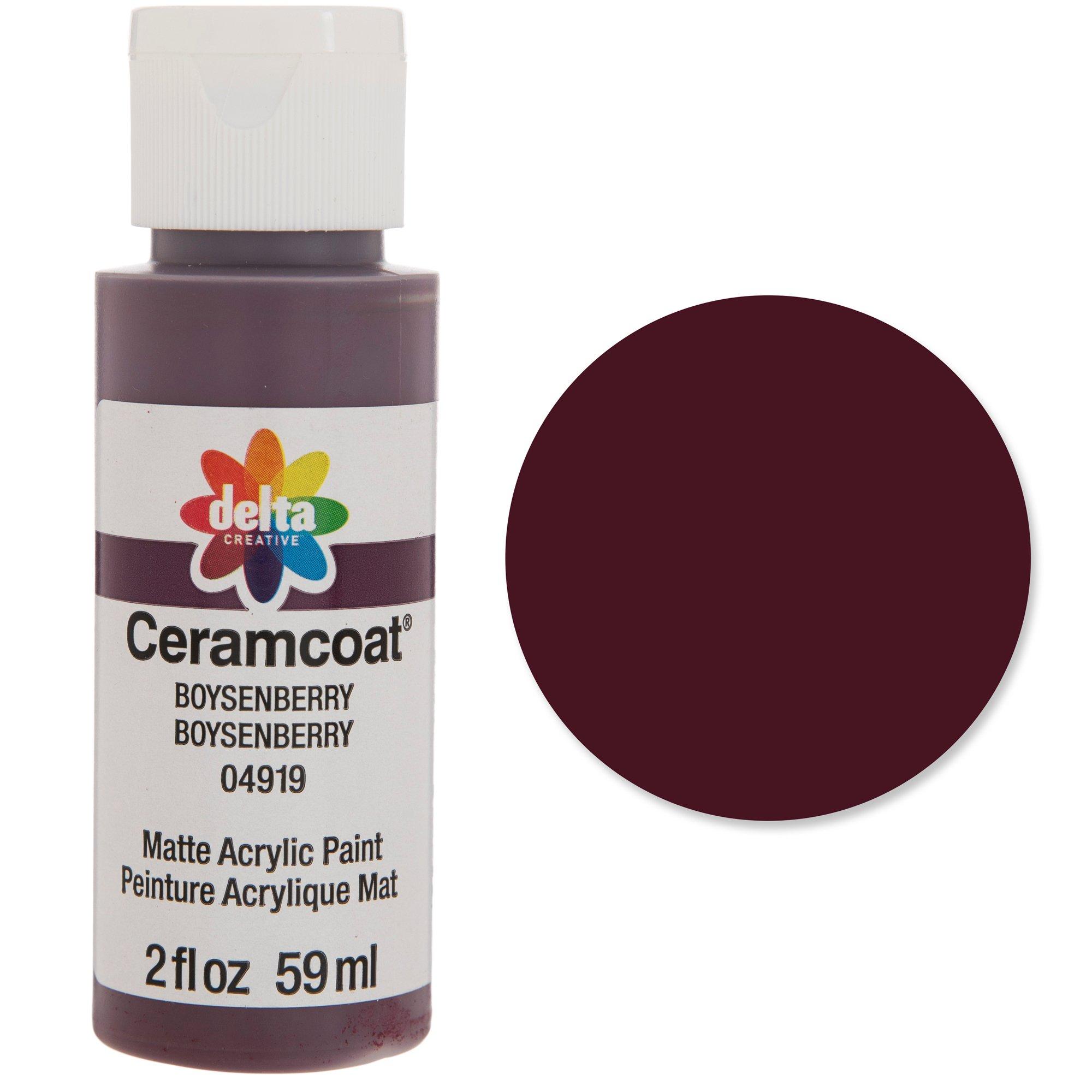 Ceramcoat Acrylic Paint, Black, 2 oz - 1 Pkg