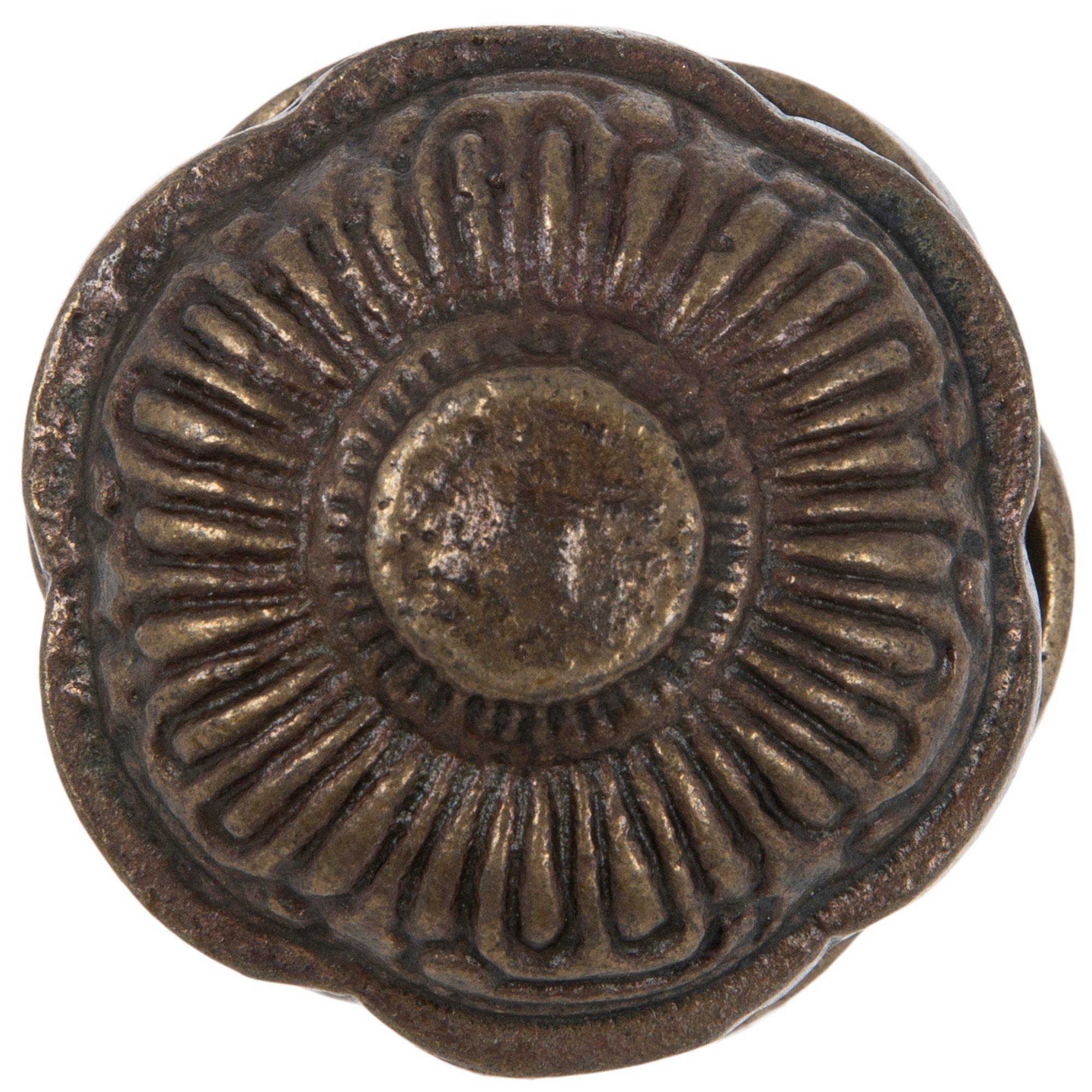 Antique Brass Scalloped Metal Knob Hobby Lobby 2126753