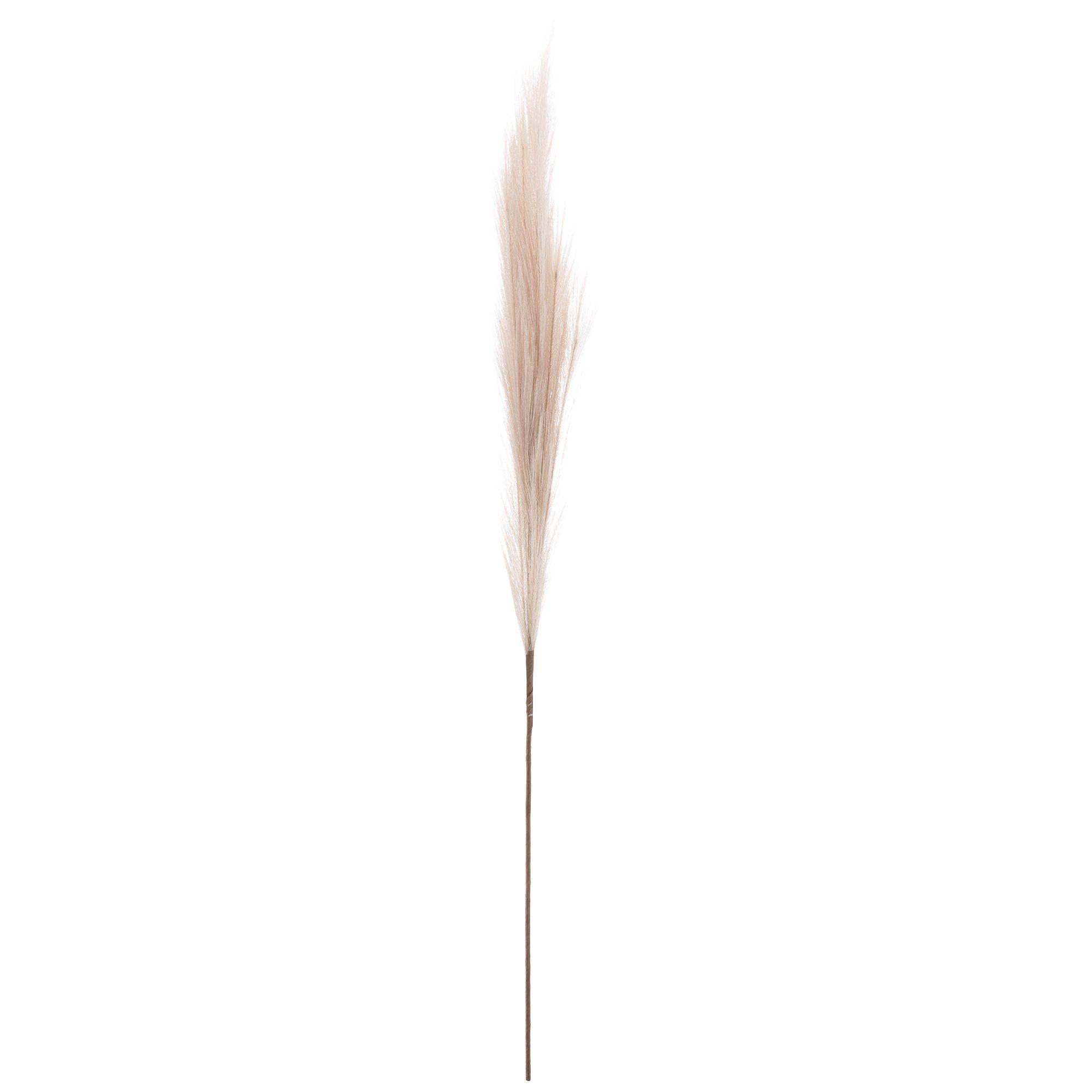 Faux Pampas Grass Stem Hobby Lobby 2126985