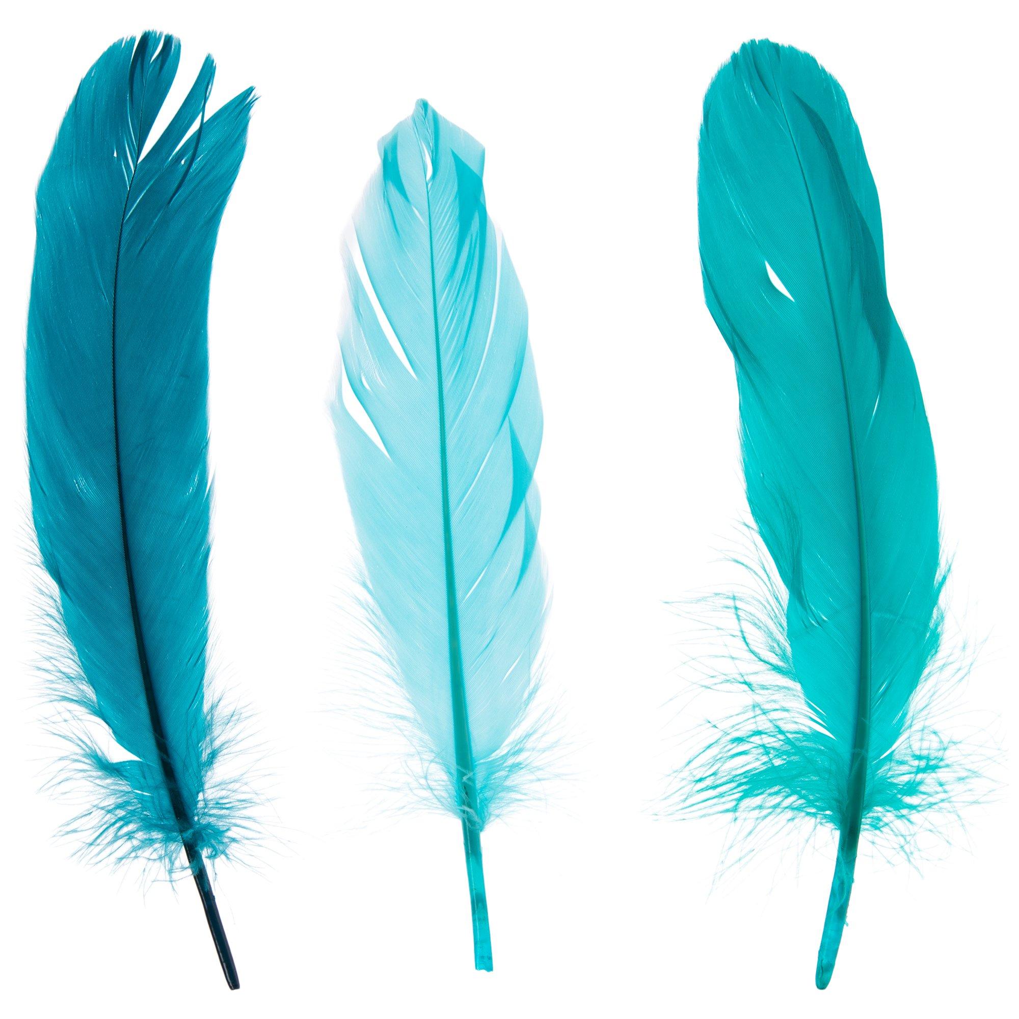 5-7 Inch Blue Goose Feathers. 10 Blue Bird Feathers. Stiff