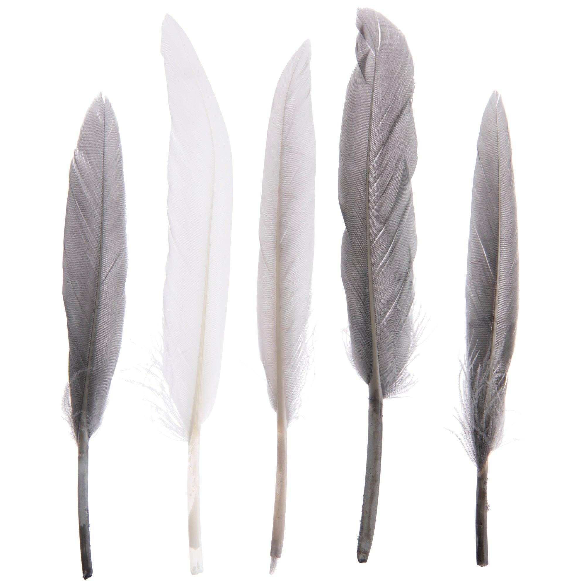 Gray & White Craft Feathers Hobby Lobby 2127850