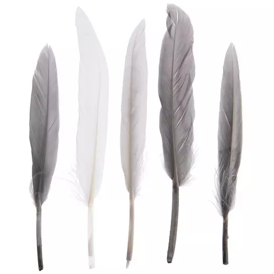 Gray & White Craft Feathers, Hobby Lobby