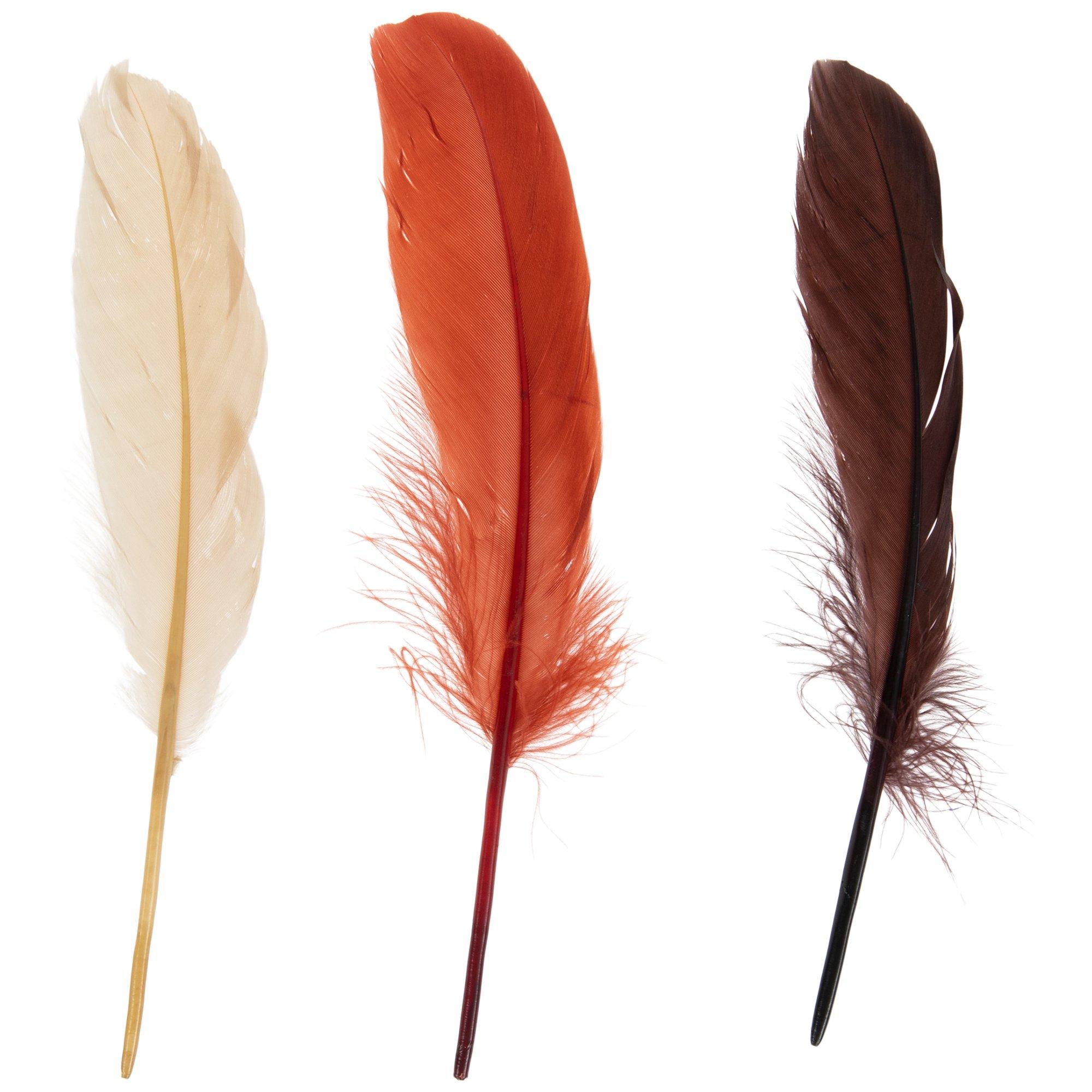 Hand Painted Goose Feathers, 5 Pieces, 6.5-8 Inches