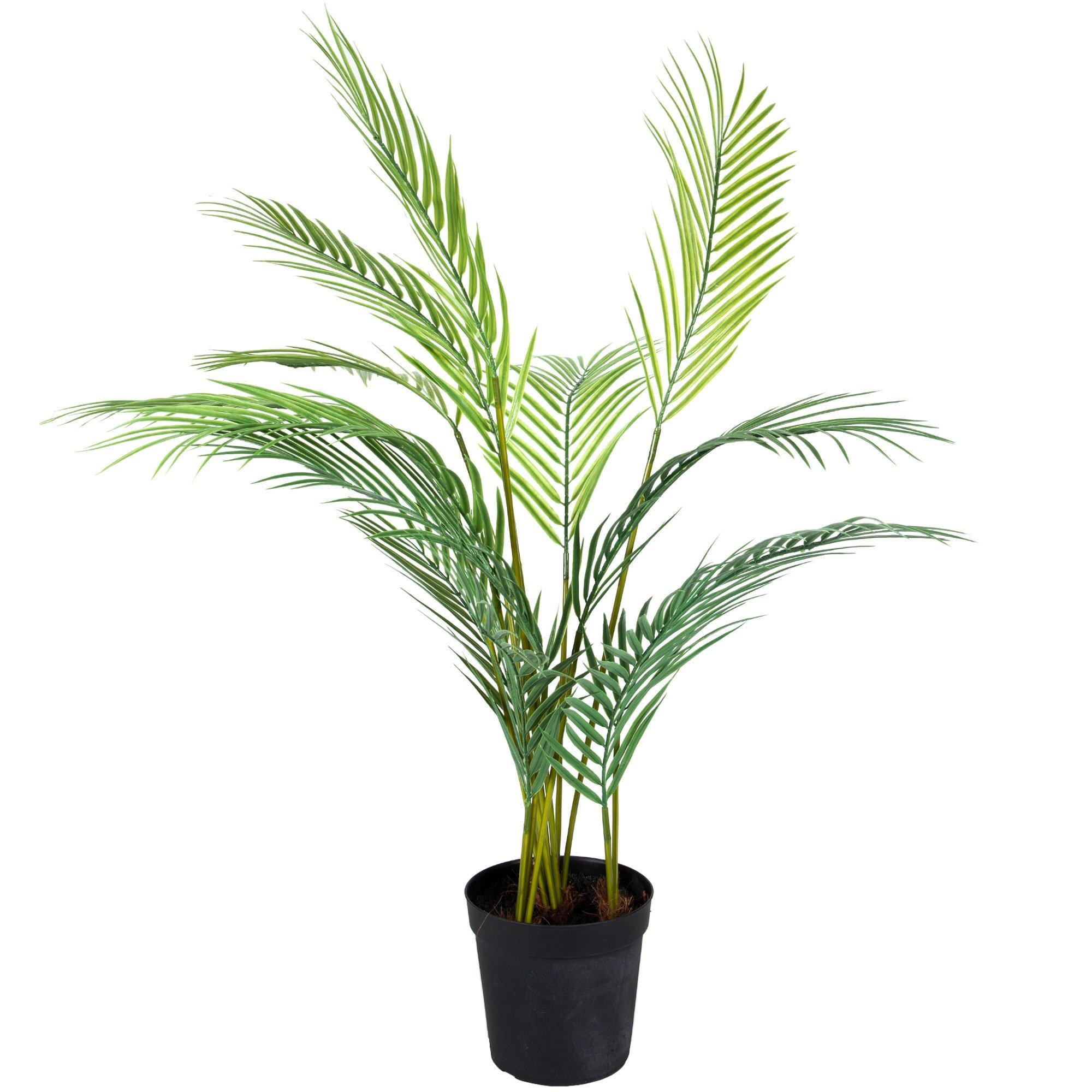 Palm Leaves In Black Pot Hobby Lobby 2130268