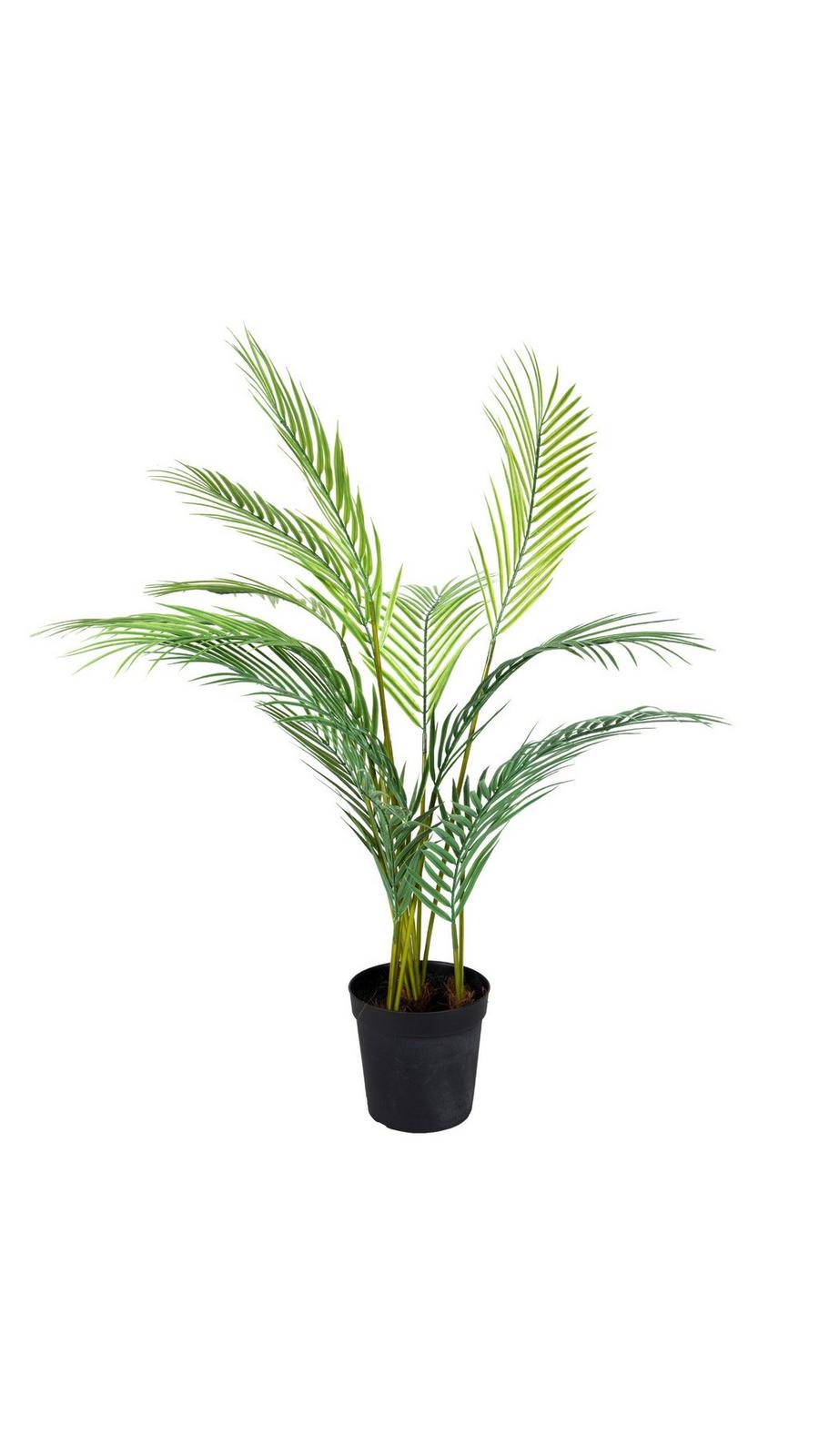 Artificial Trees & Large Potted Plants | Hobby Lobby