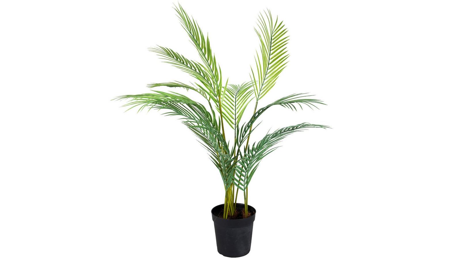 Artificial Trees & Large Potted Plants | Hobby Lobby