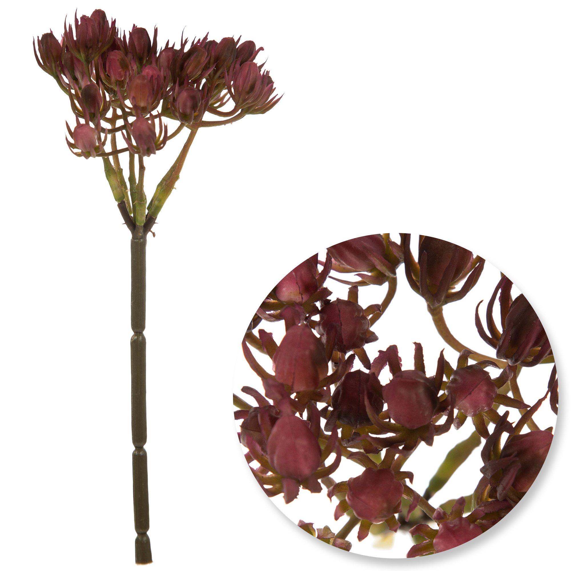 Selected Product Image