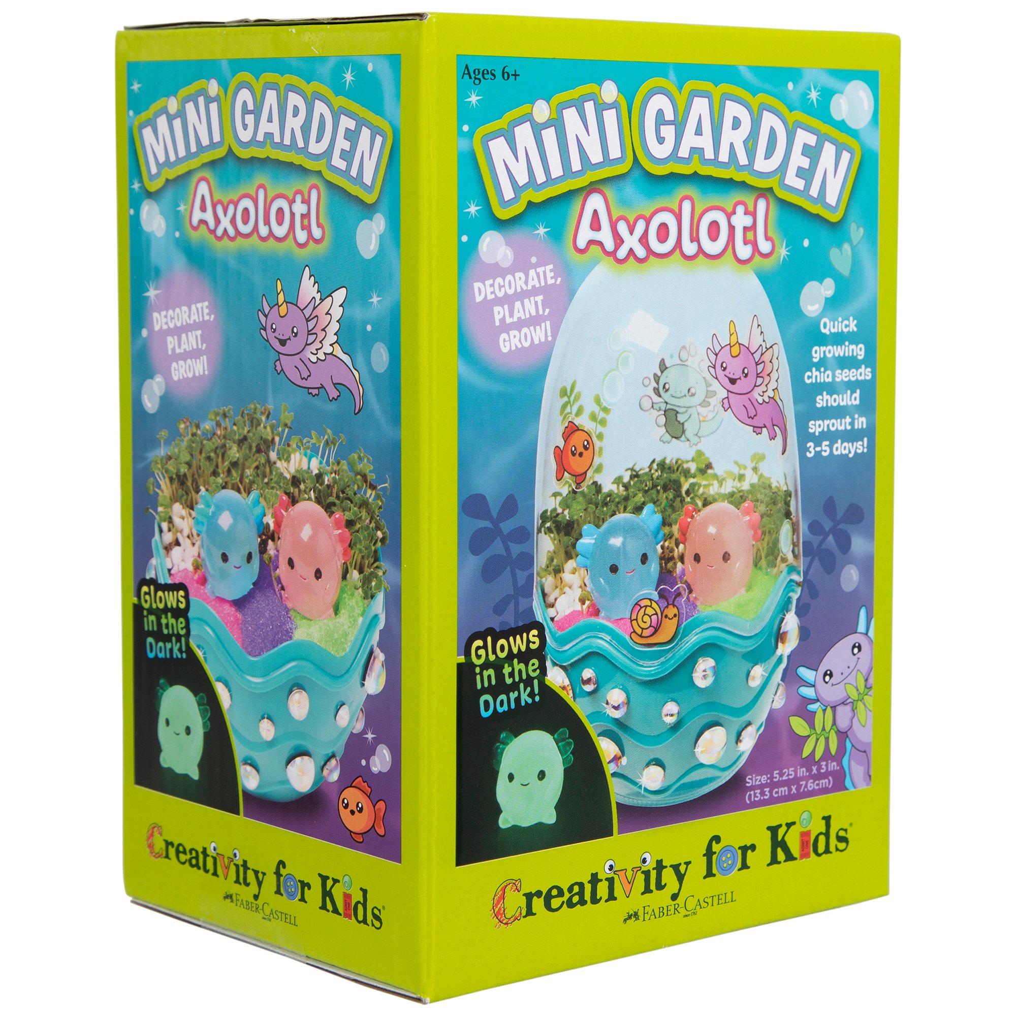 Axolotl Mini Garden | Hobby Lobby | 2136679